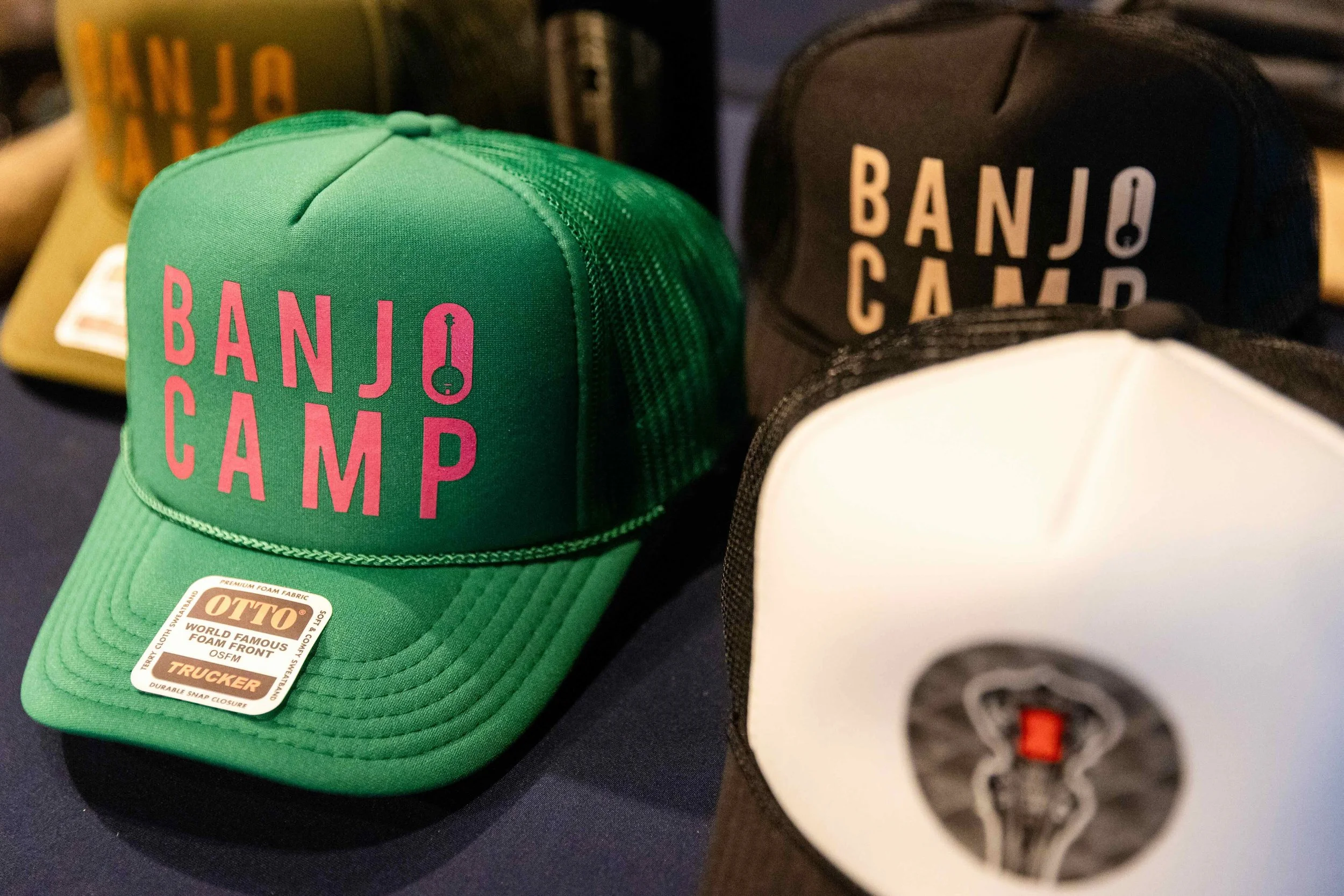 20250814 Blue Ridge Banjo Camp - Seyl Park -00287.jpeg