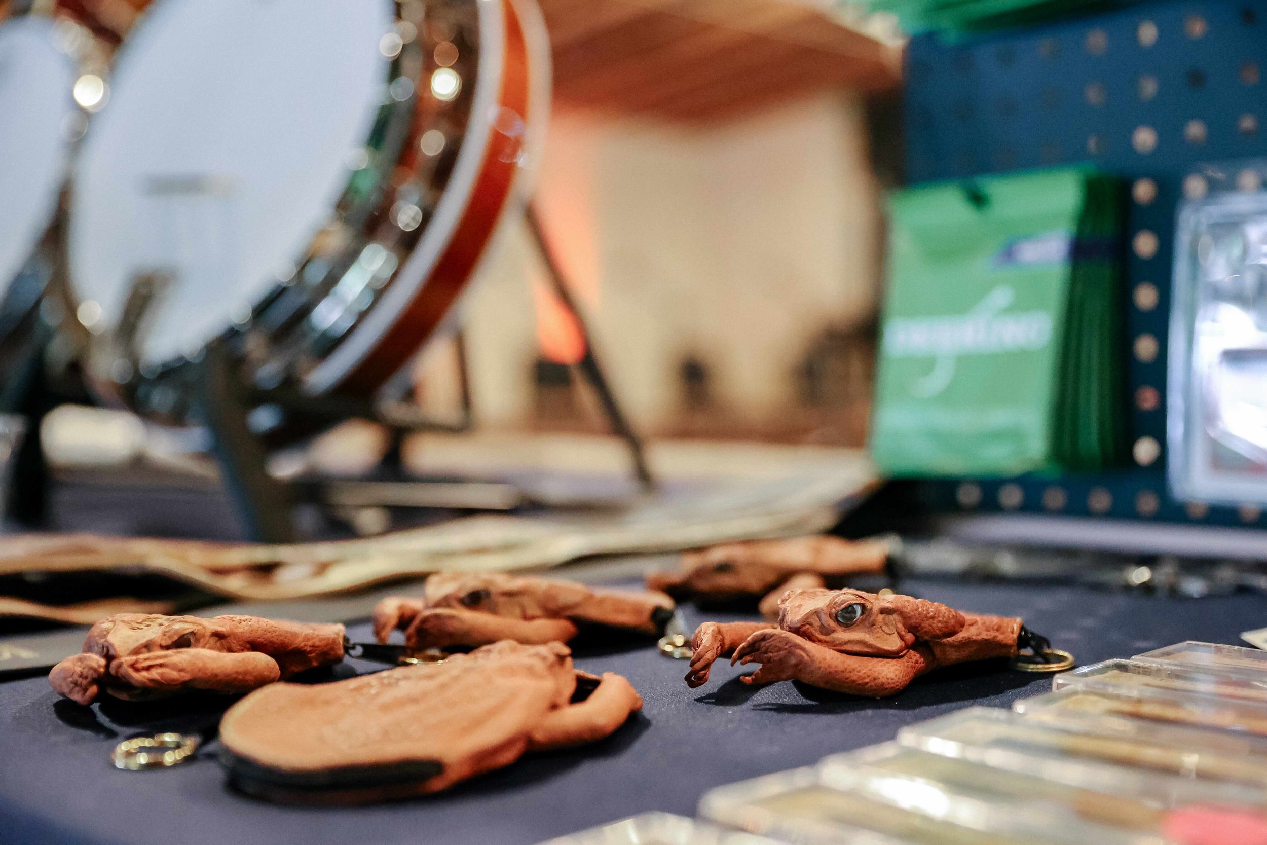 20250812 Blue Ridge Banjo Camp - Seyl Park -00205.jpeg