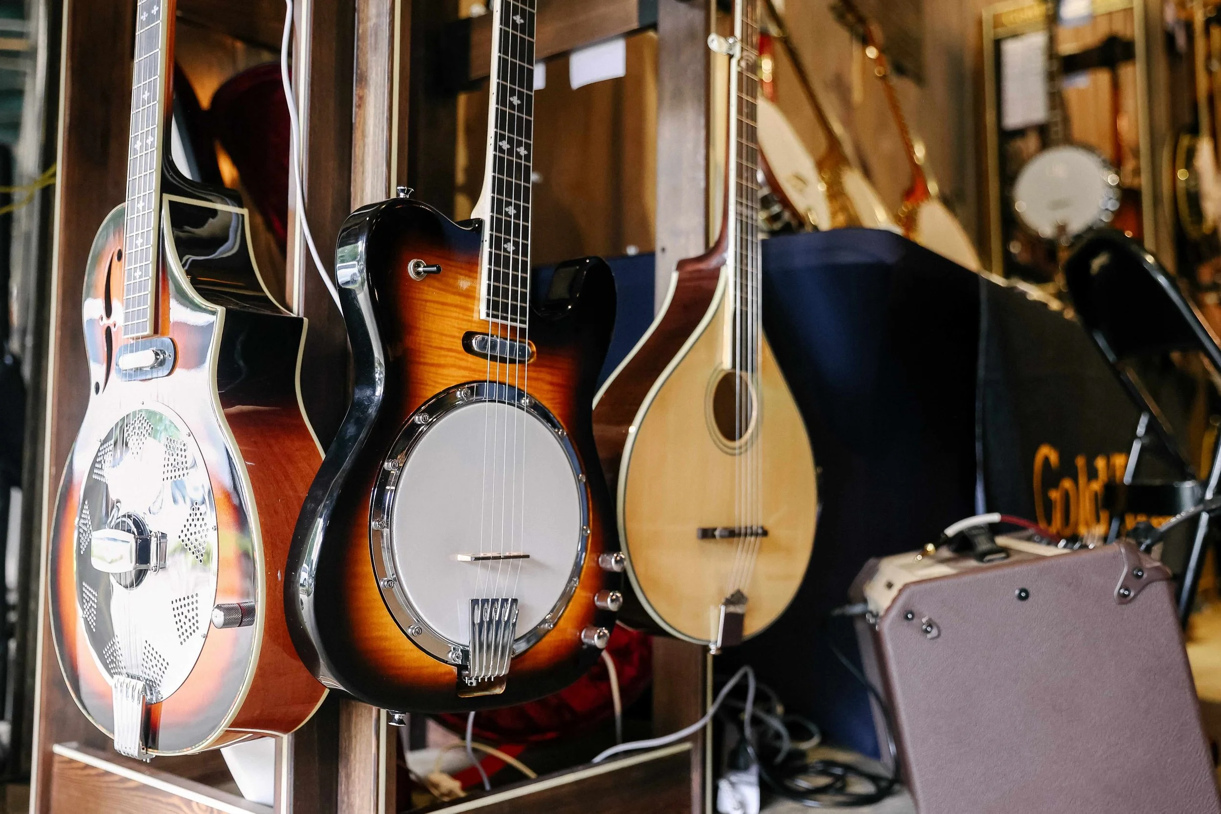 20250812 Blue Ridge Banjo Camp - Seyl Park -00139.jpeg