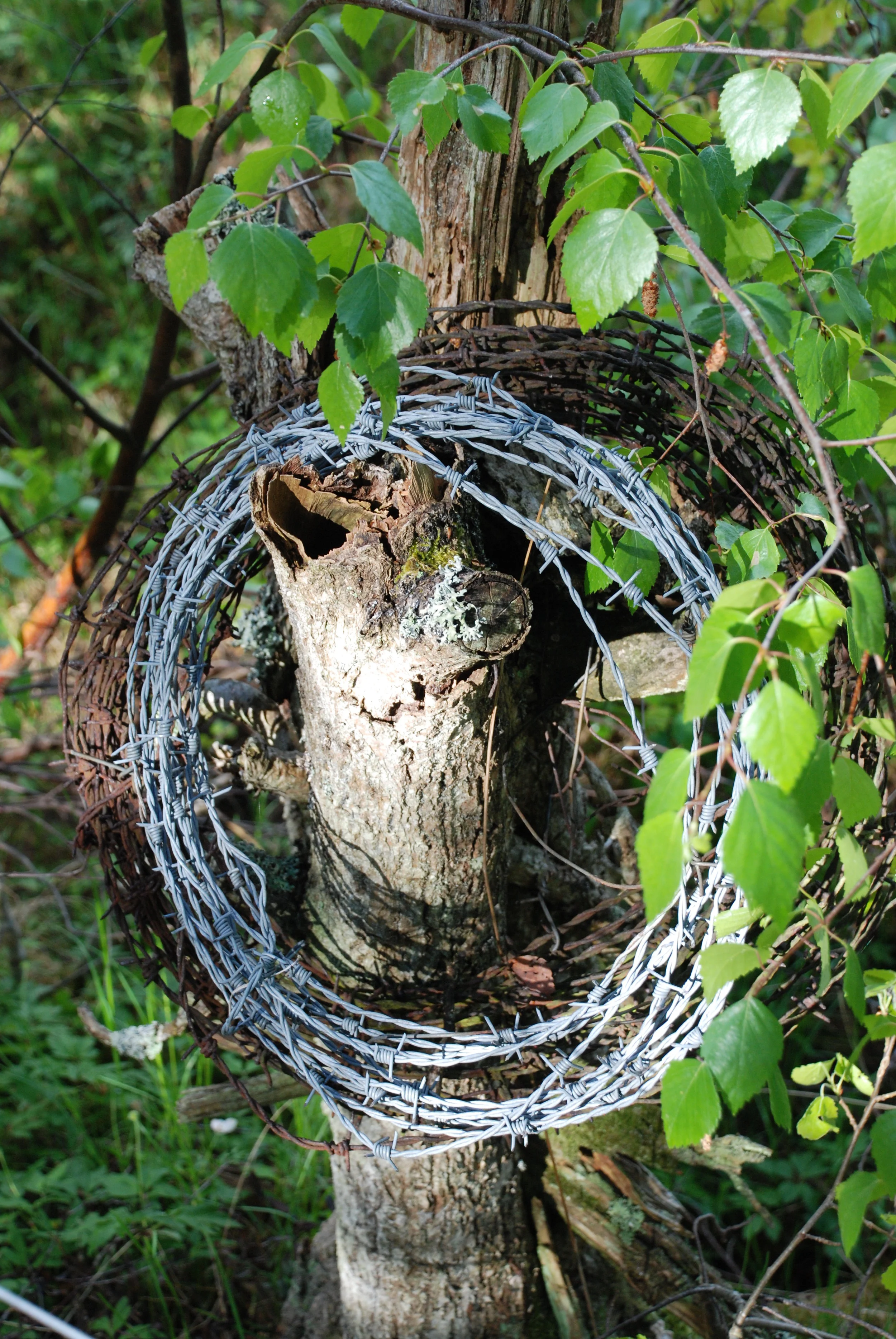 SLUTSÅLD! Taggtråd på stolpe