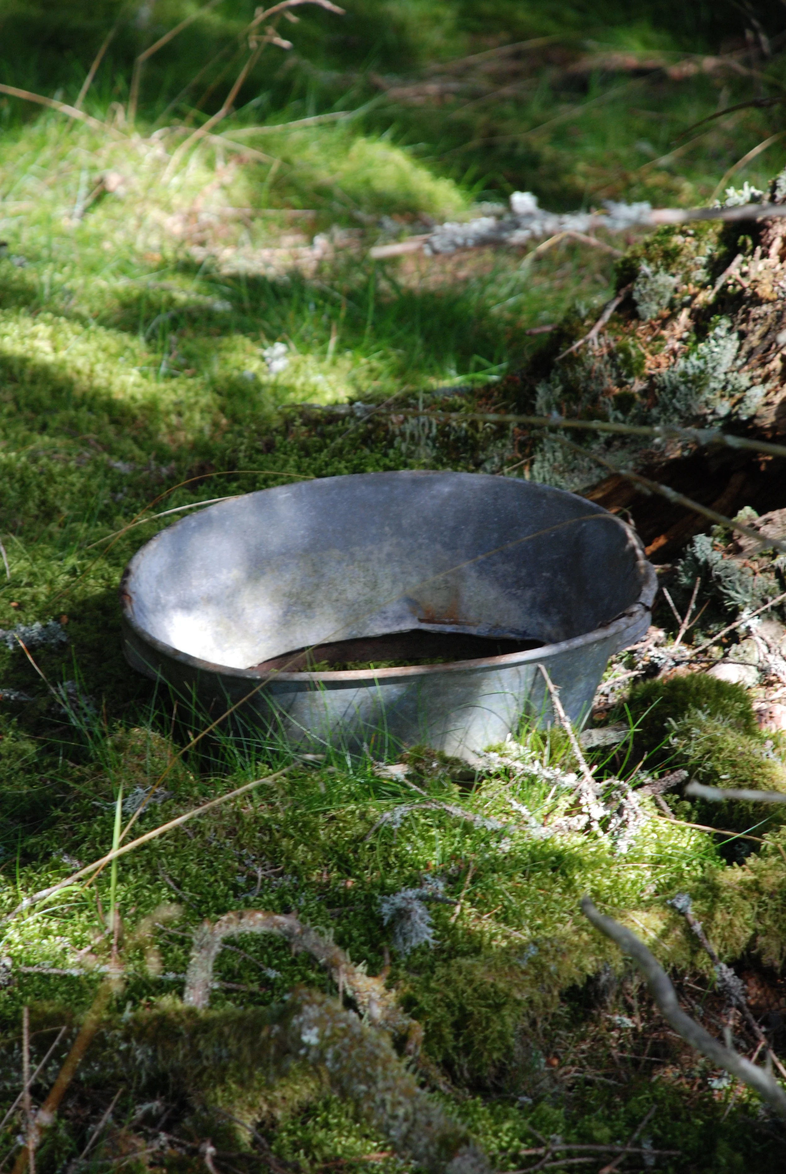 DSC_0003 Bunke.JPG