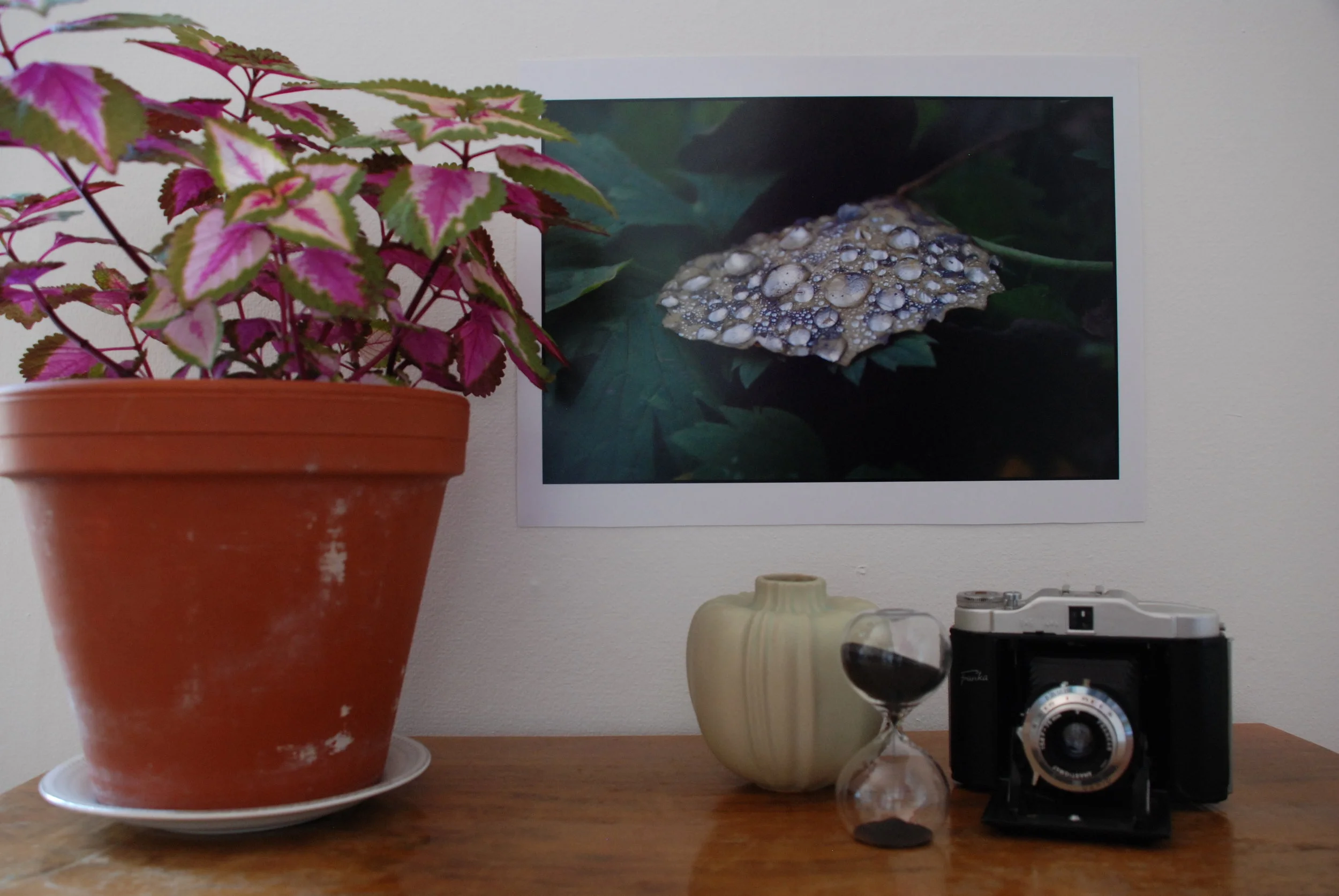 DSC_1013Pro- Droppar.JPG