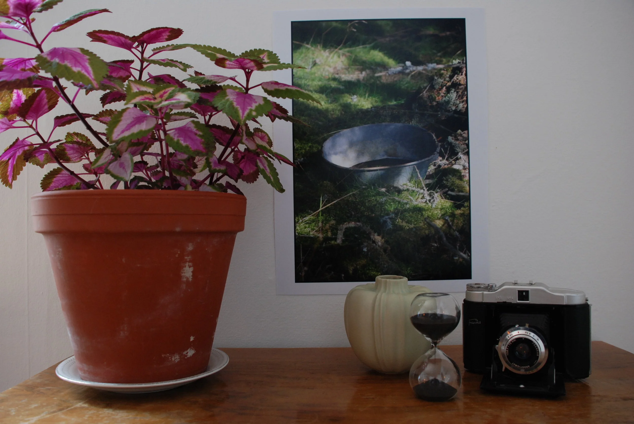 DSC_0042 Pro-Bunke.JPG