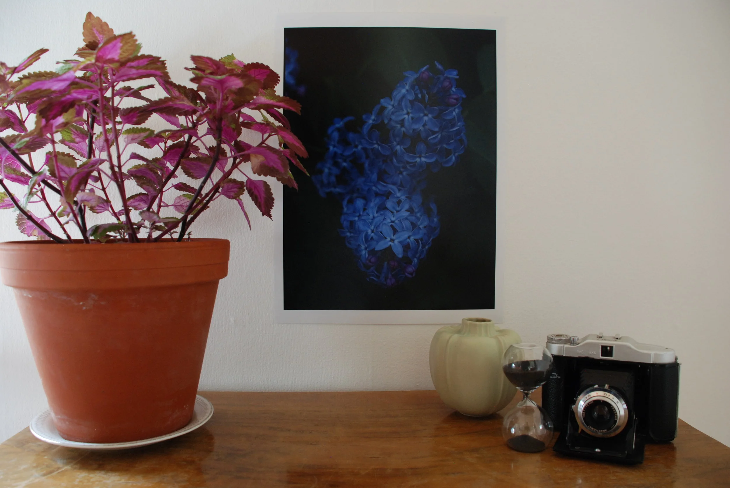 DSC_0782 Pro-Syren.JPG