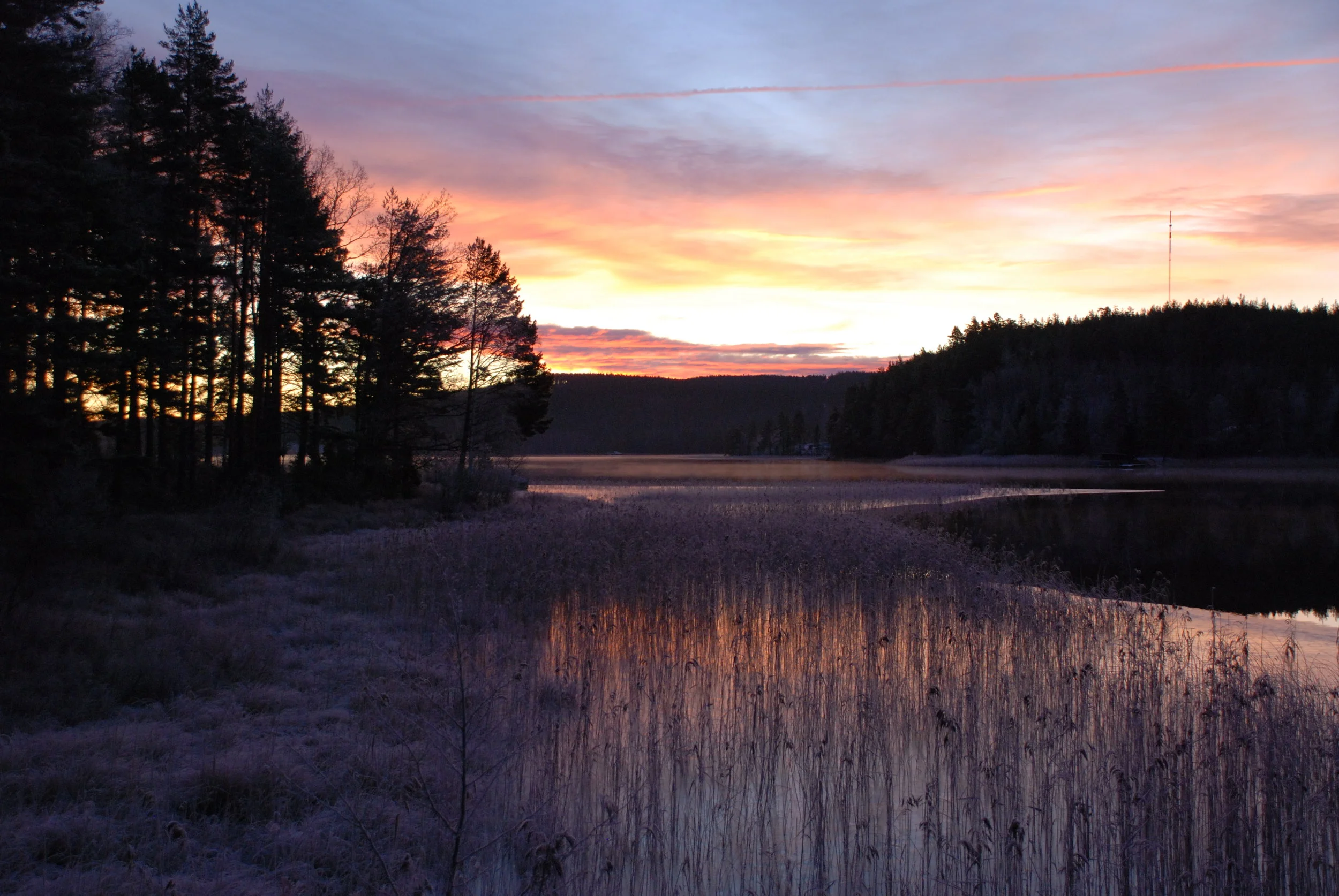 DSC_0811 Morgonstund.JPG