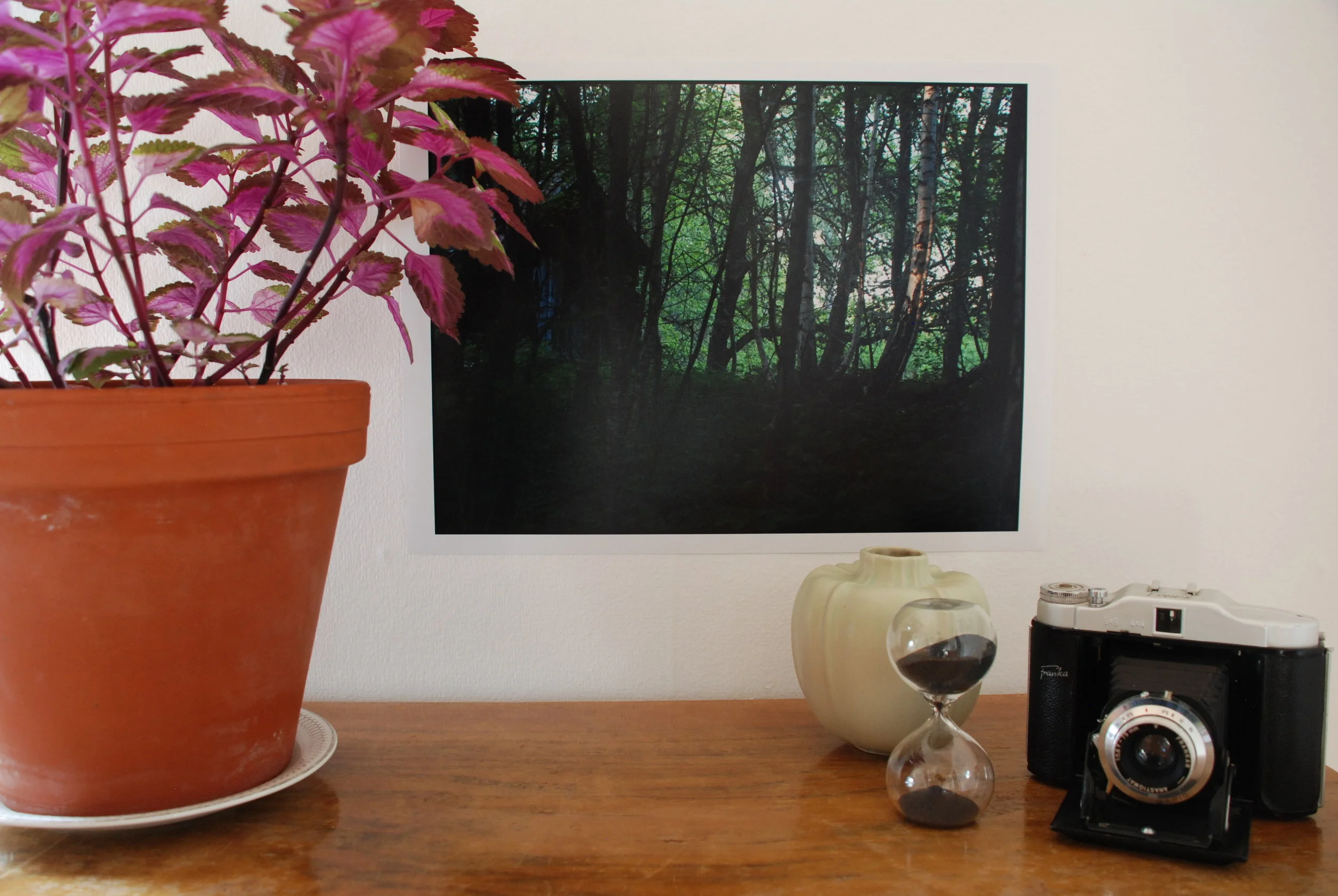 DSC_0762 Pro-Hidden Space.JPG