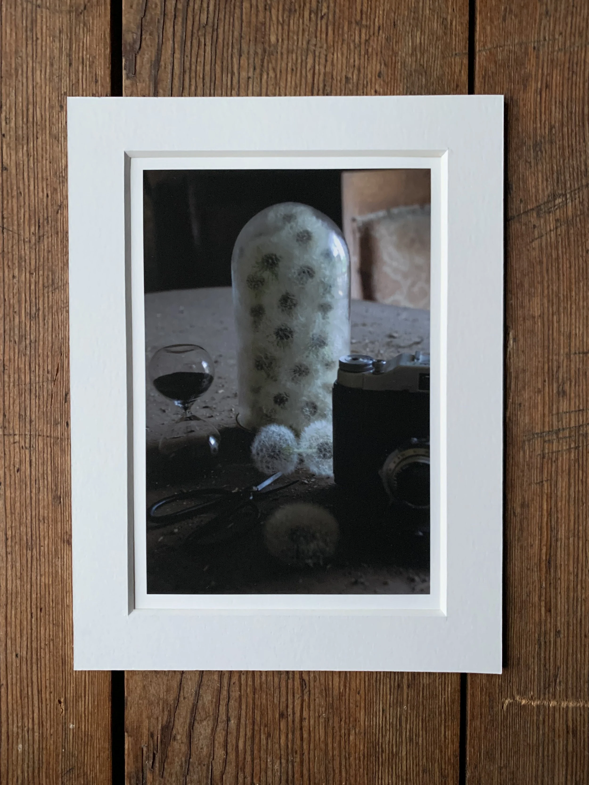 En stund på jorden 18x24