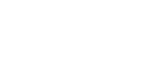 Zebra Logo white transparent background-500pixels.png