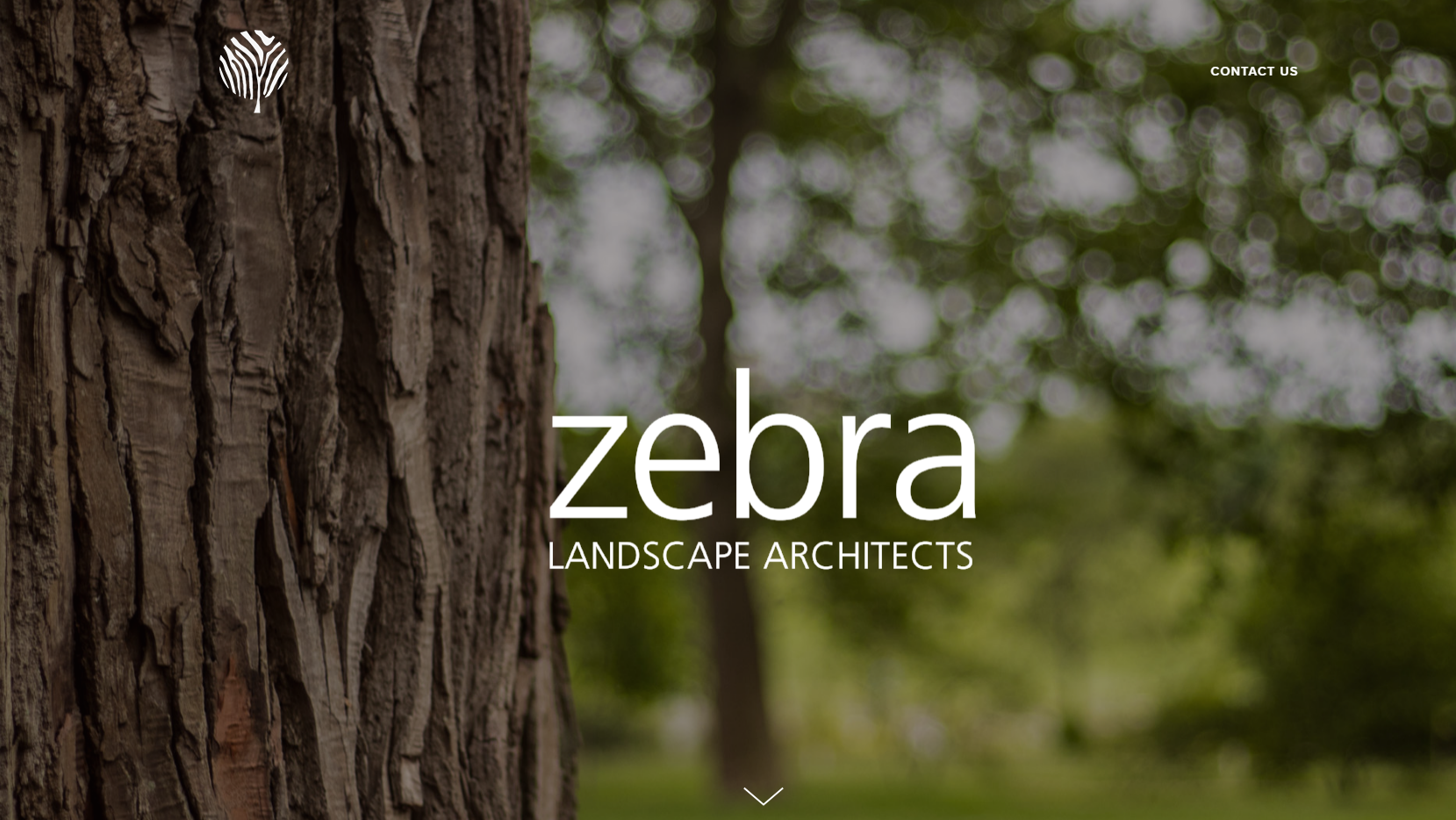 Zebra Landscapes Website 02.png