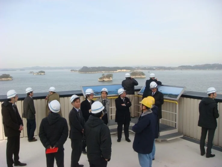 Figure 7 –Roof of Sendai Thermal Power Plant