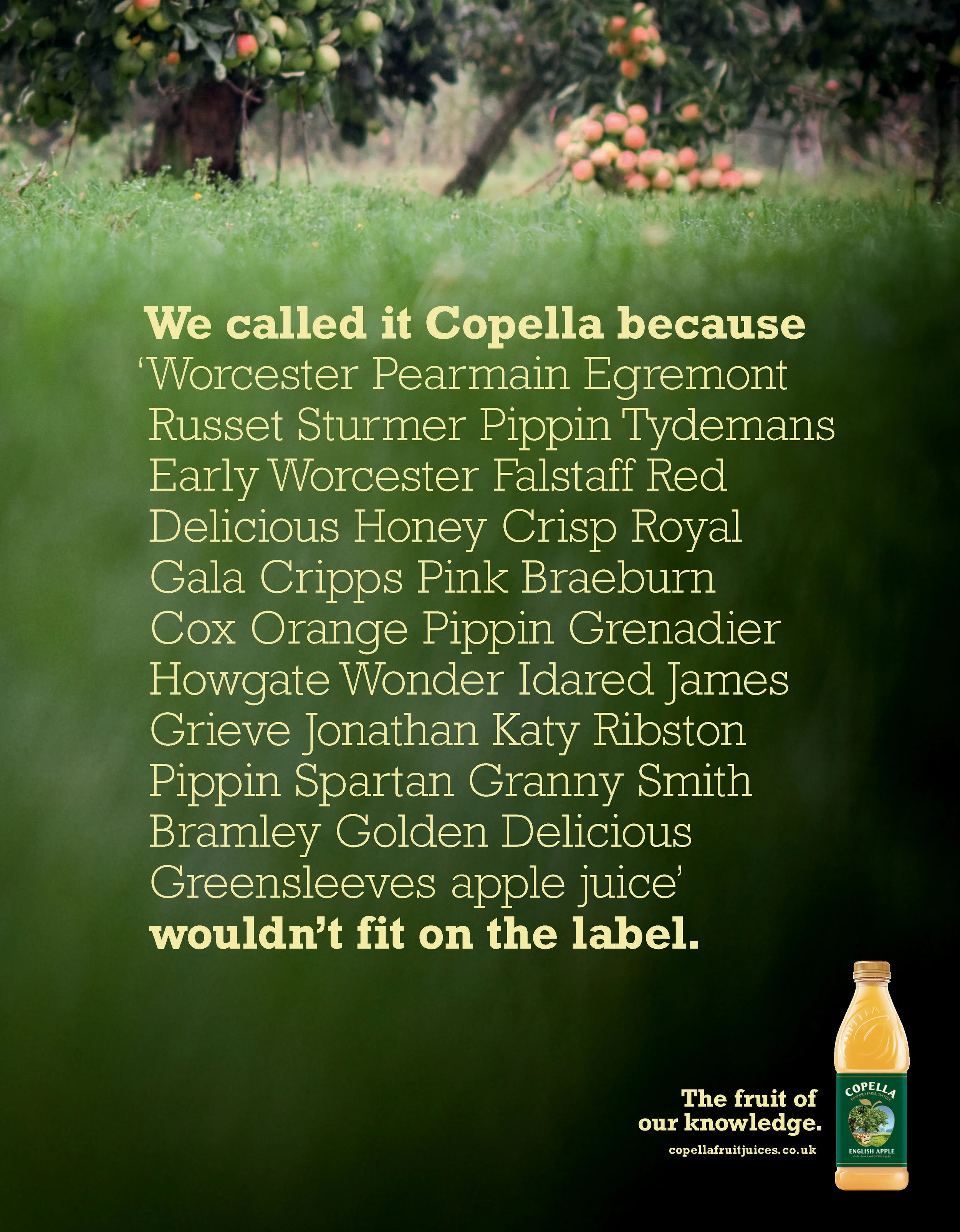 300x234_Copella_Words_Page_1.jpg