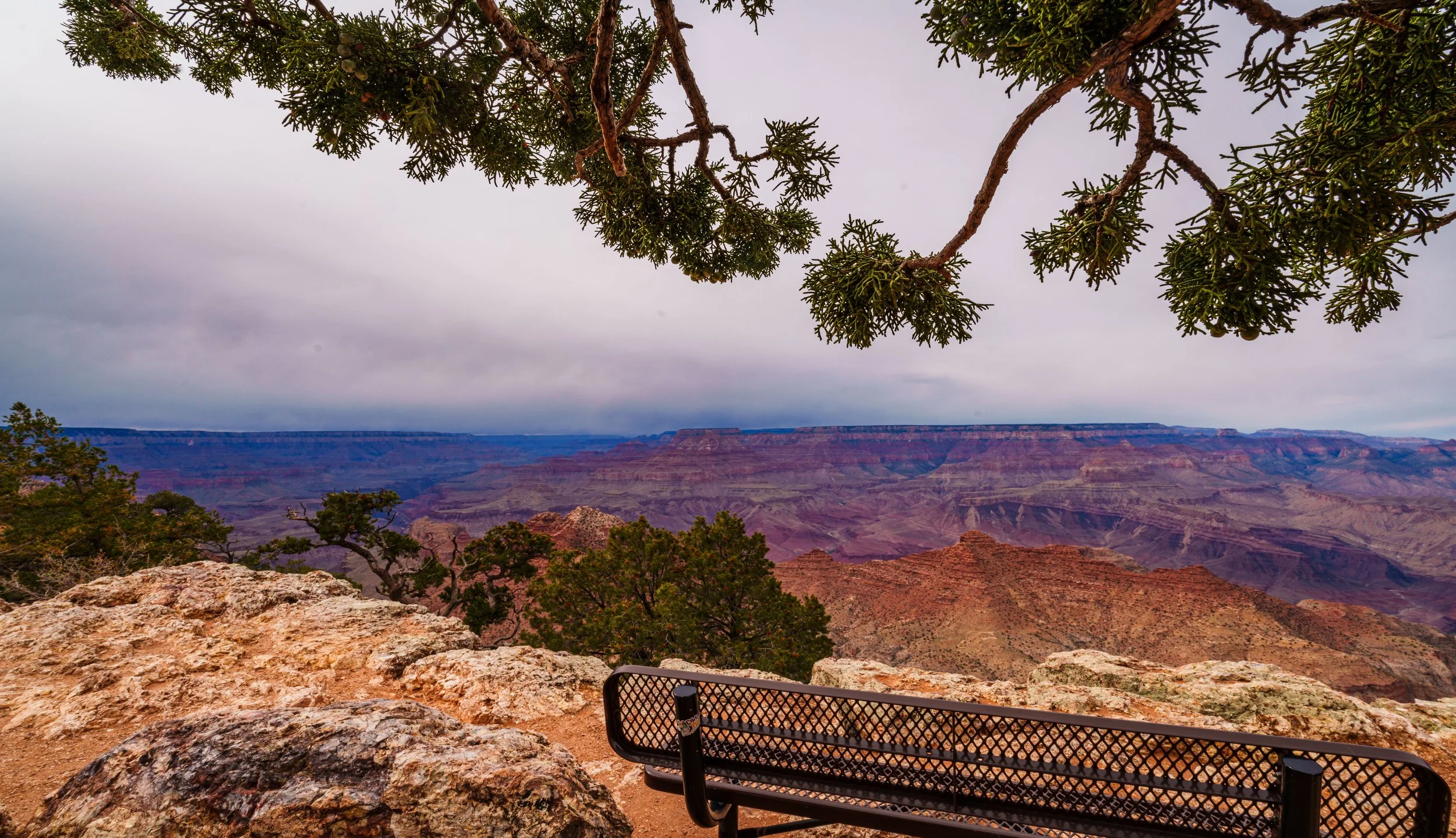 Grand Canyon_4908.jpg