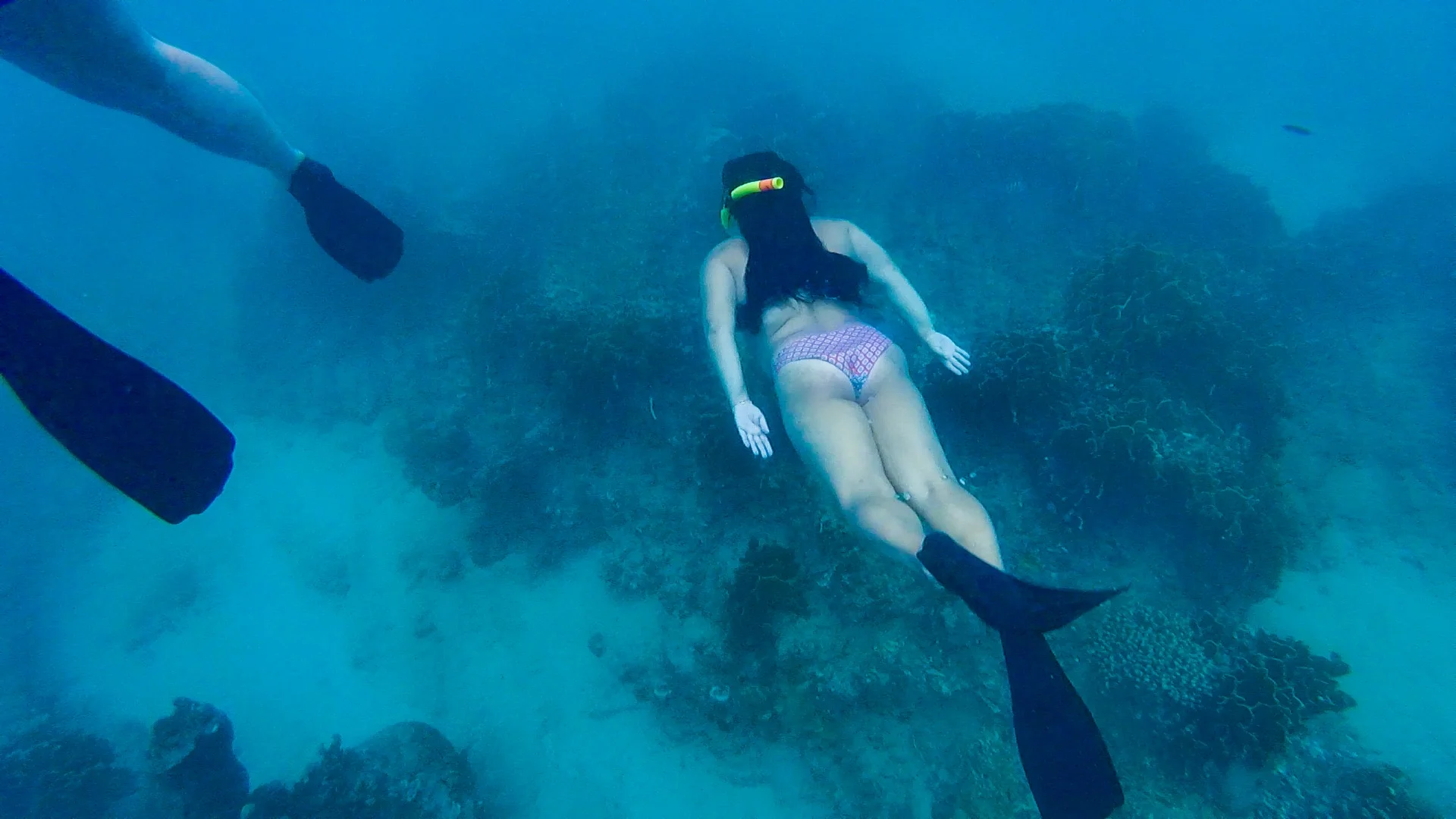 snorkeling barbados.jpg