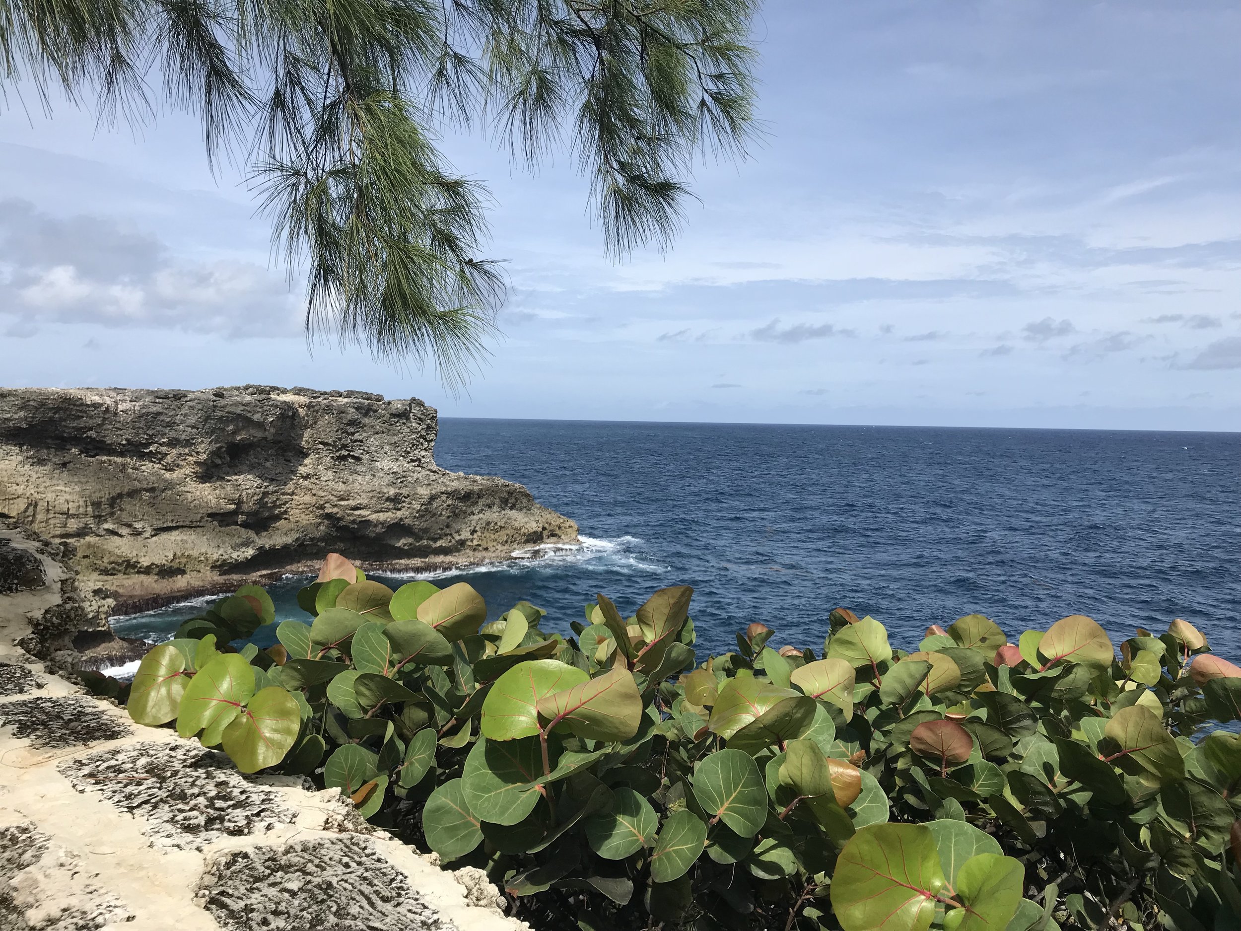 North Point, Saint Lucy, Barbados