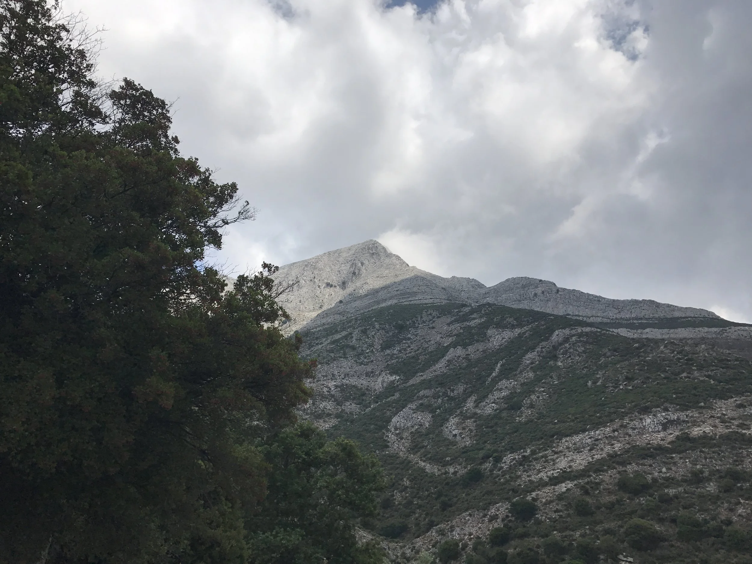 How to Conquer Mount Zeus