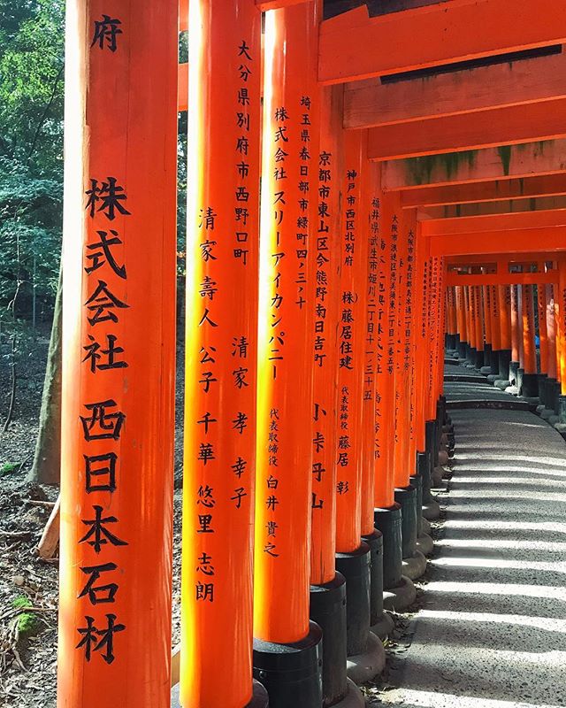 Still in awe of this magical place ⛩ oh what I would do to go back right now...