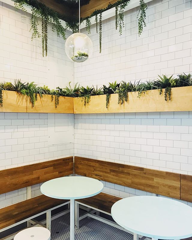 I love greenery and the look of this shop! 🌿🍃🌱 I wish my kitchen looked like this. Are you into plants? 🌻