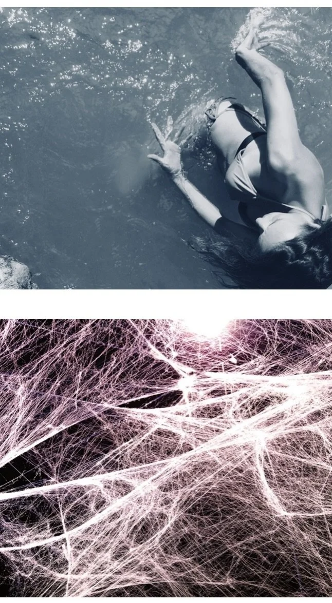 Fascial Flow : Arms as Roots