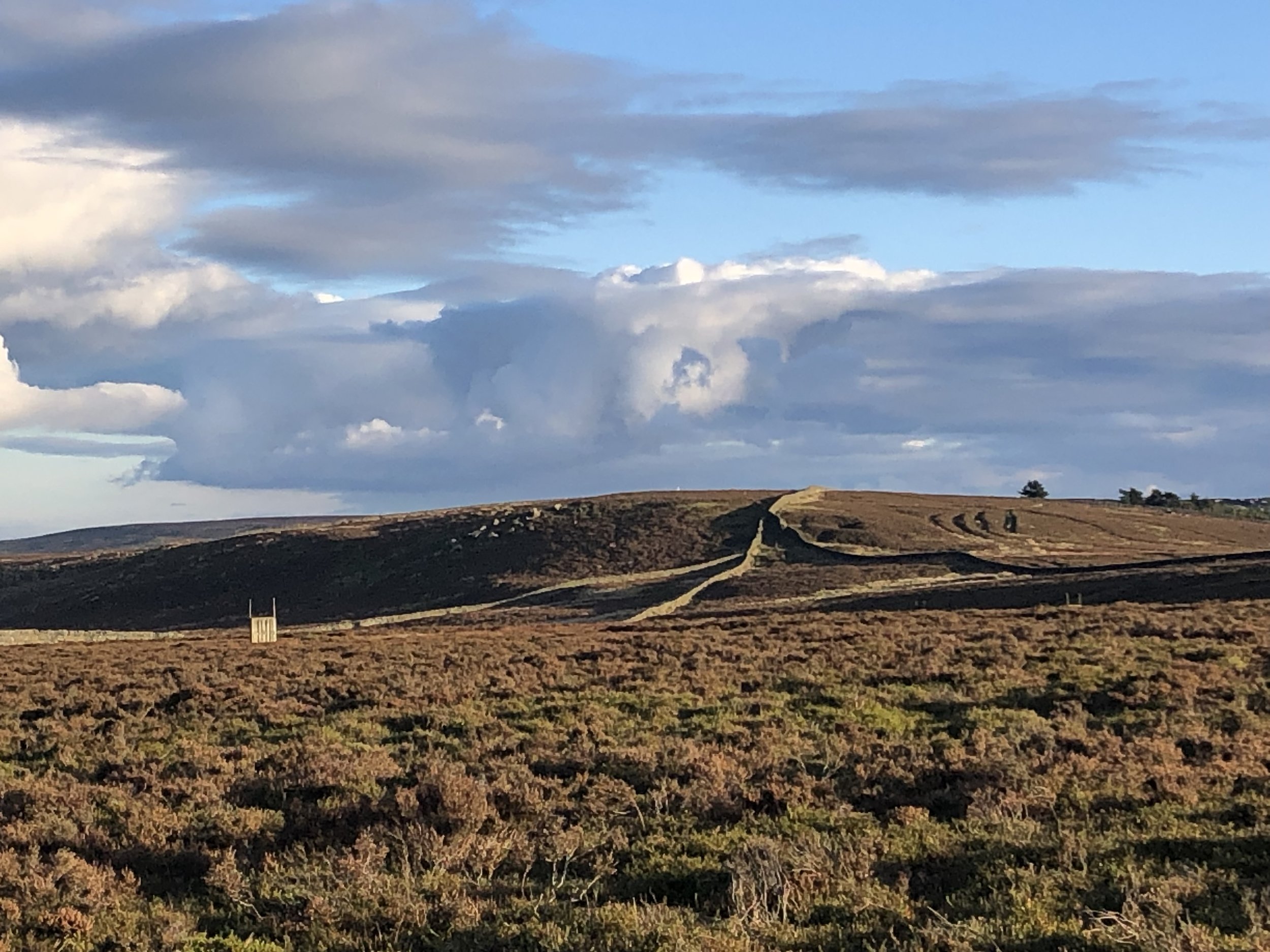 Moor Than Contact 2025