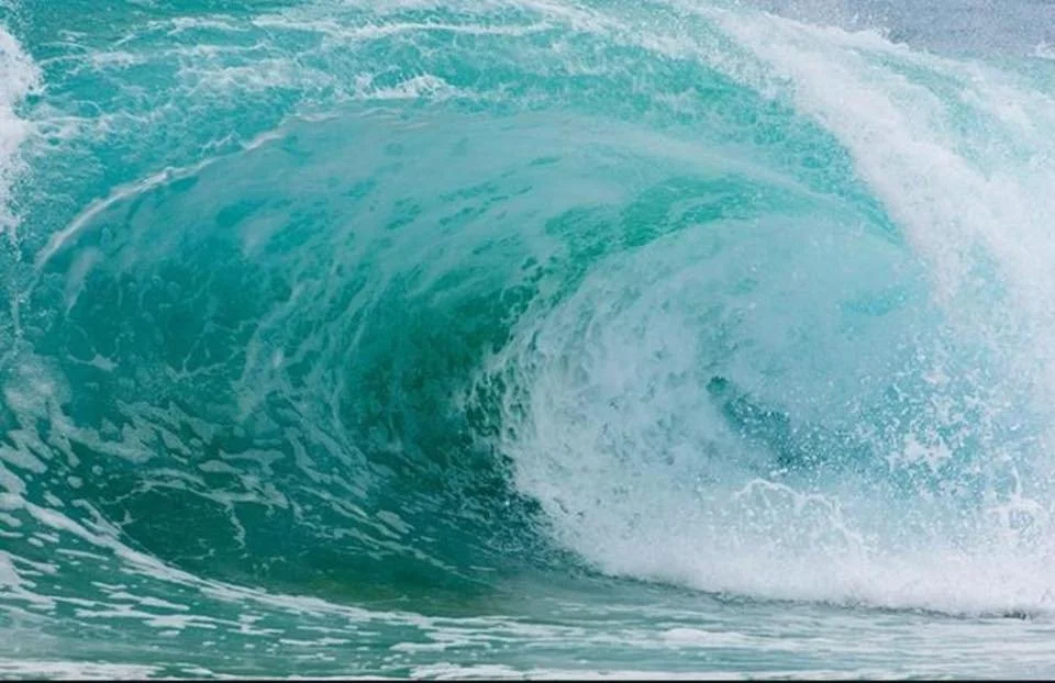 Making Waves. Contact Improvisation Day workshop