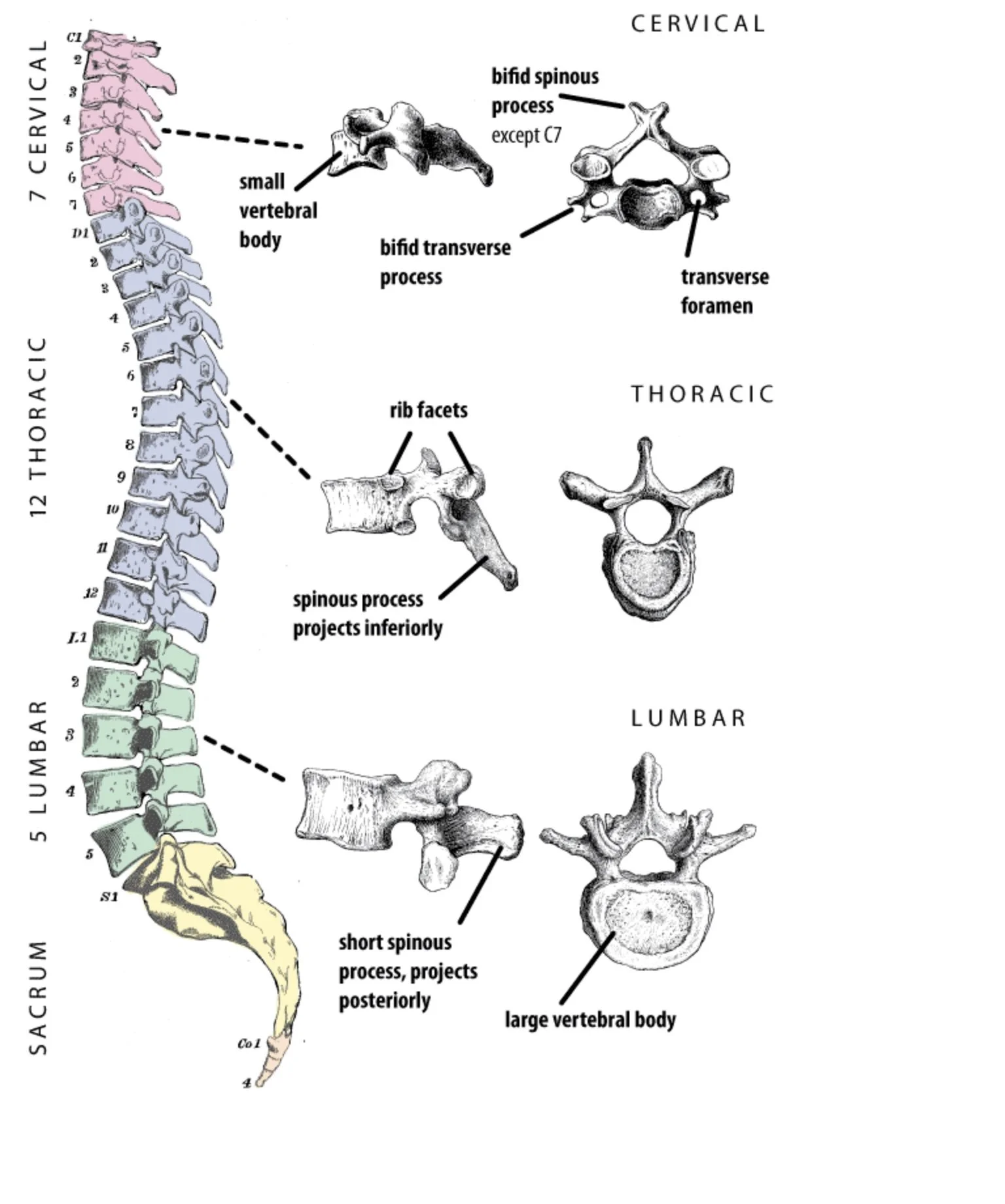 Axis Syllabus London workshop
