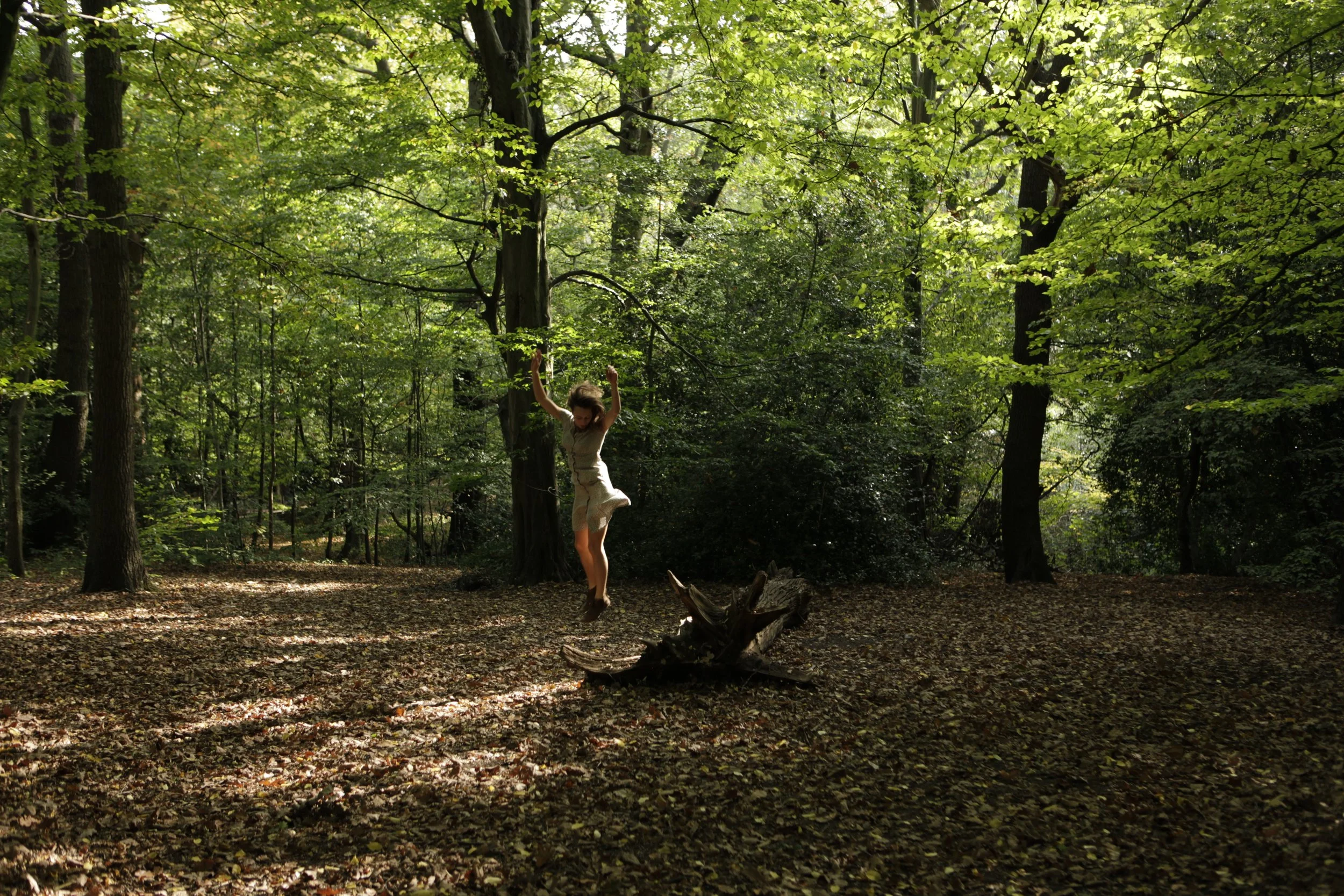 FERAL ANATOMY -moving rooted.&nbsp;