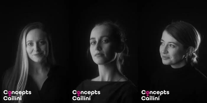  So instead of being competitive, we’re complimentary. We are celebrating each other’s achievements and encourage pride in our accomplishment. In the absence of female leadership, we are going to be our own role models. We are forming this collective