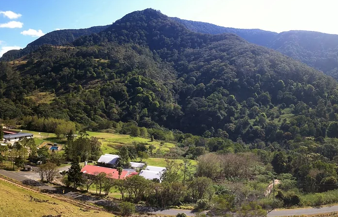 Mountain Views.png