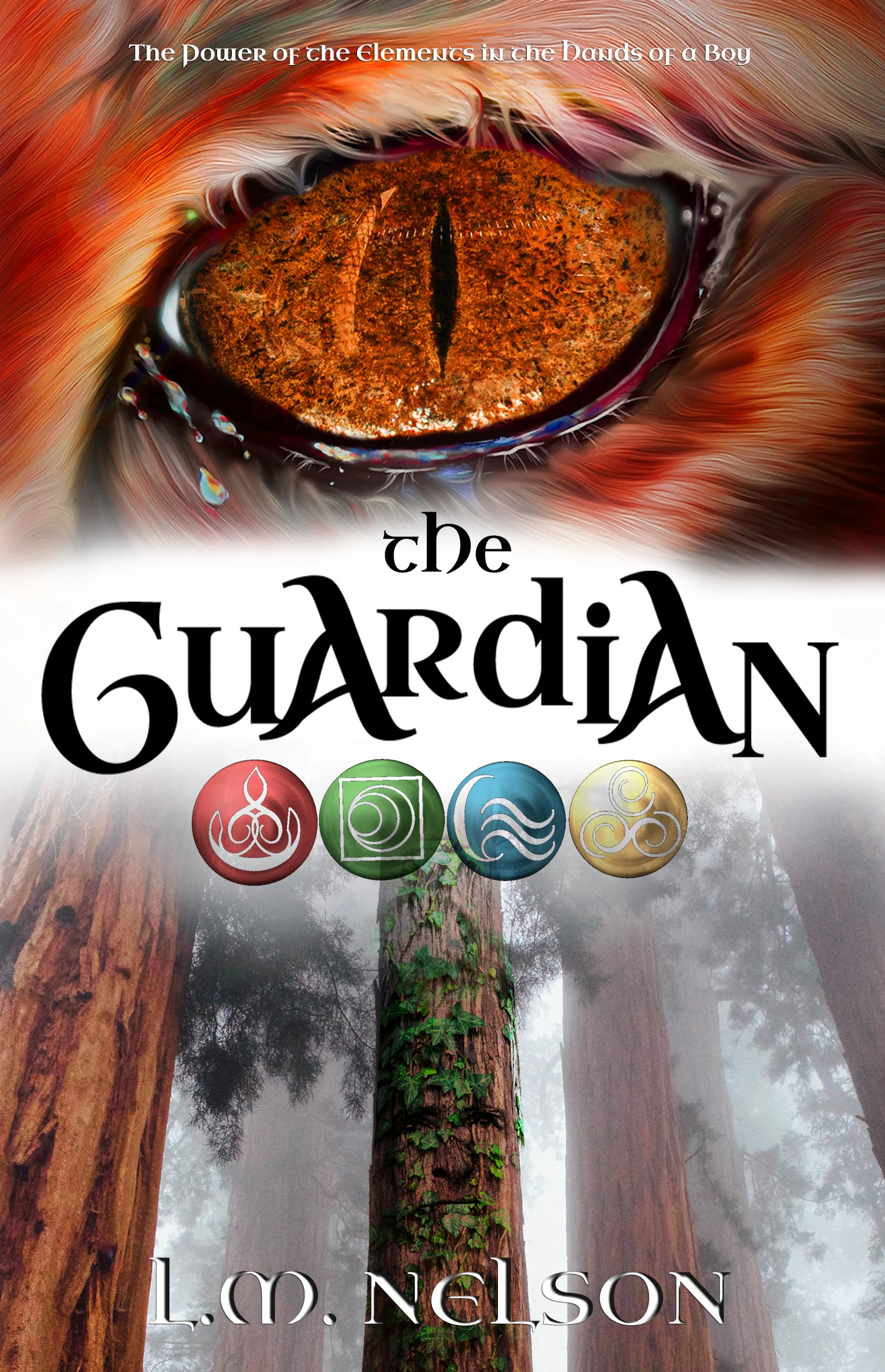 Guardian_webcover.jpg