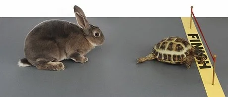 tortise and hare.jpg