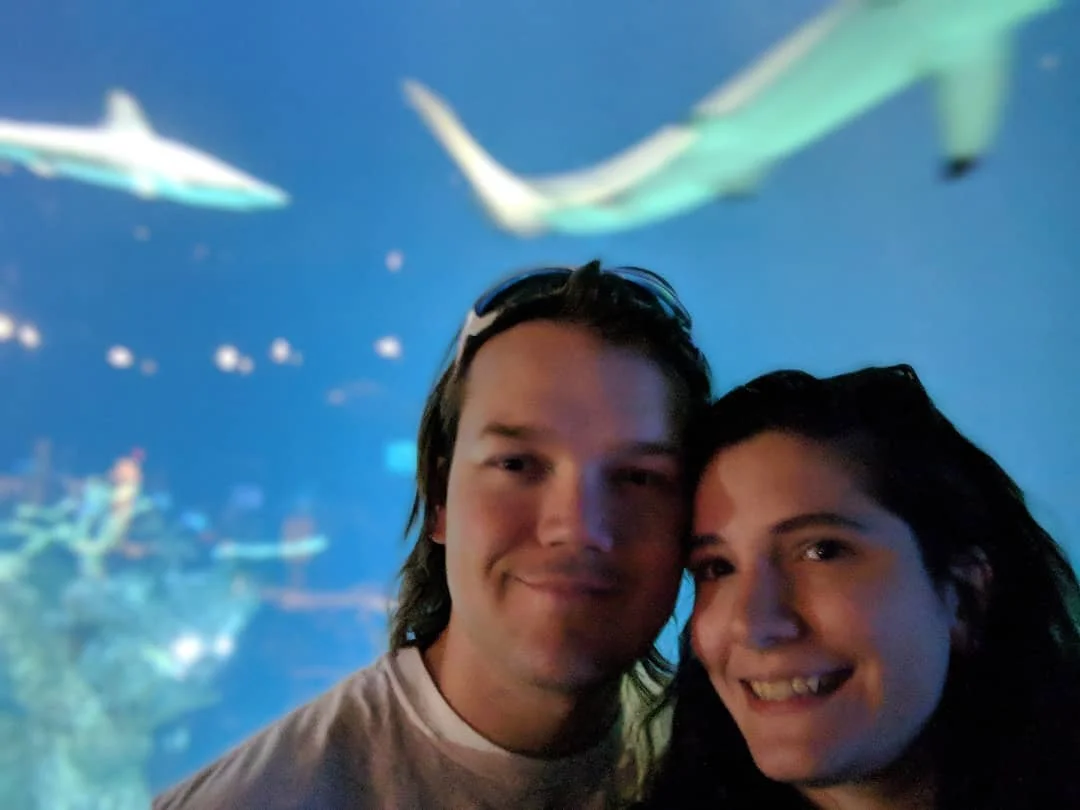 40656182_10155972268224007_8090467051237277696_o.jpg