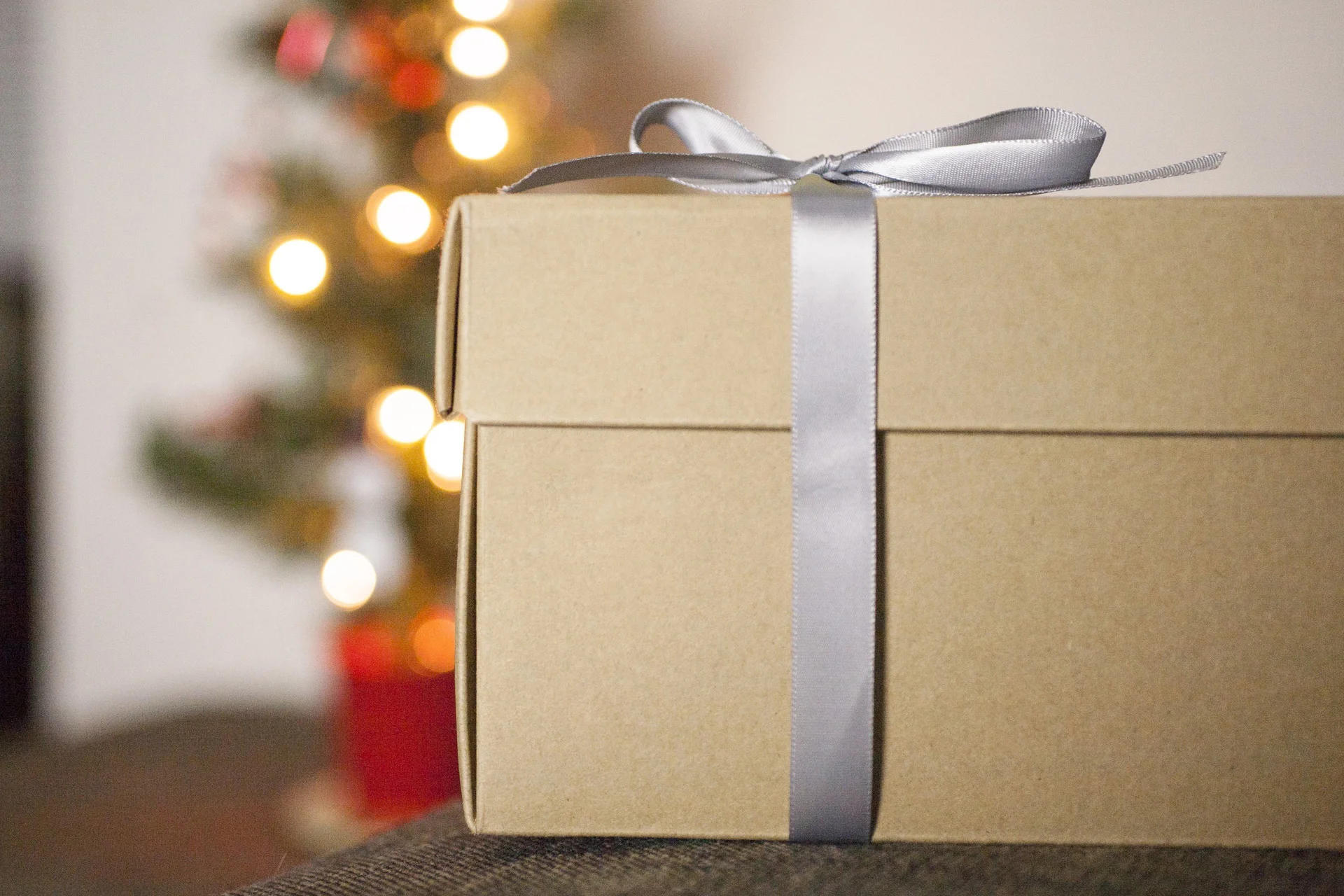 holiday_christmas_IMG_0550.jpg