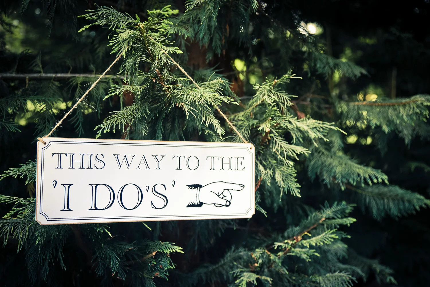 Wedding at Northbrook Park, Surrey, by Daria Nova Wedding Photography