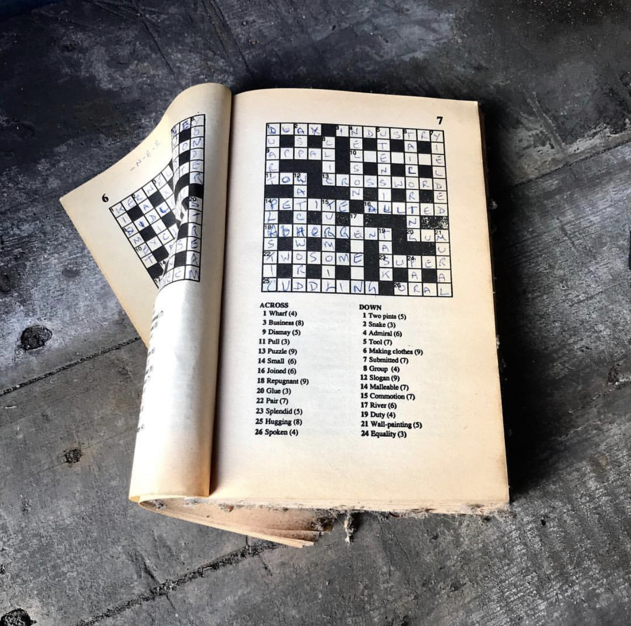 Crossword Book, Someone’s Rubbish, Brighton and Hove, 2018, Chloe Juno Someone’s Rubbish - I have spent 5 years taking photographs everyday, looking at life now via the objects we discard. This is ongoing work and the rubbish pile is growing in size. https://www.instagram.com/chloejuno/