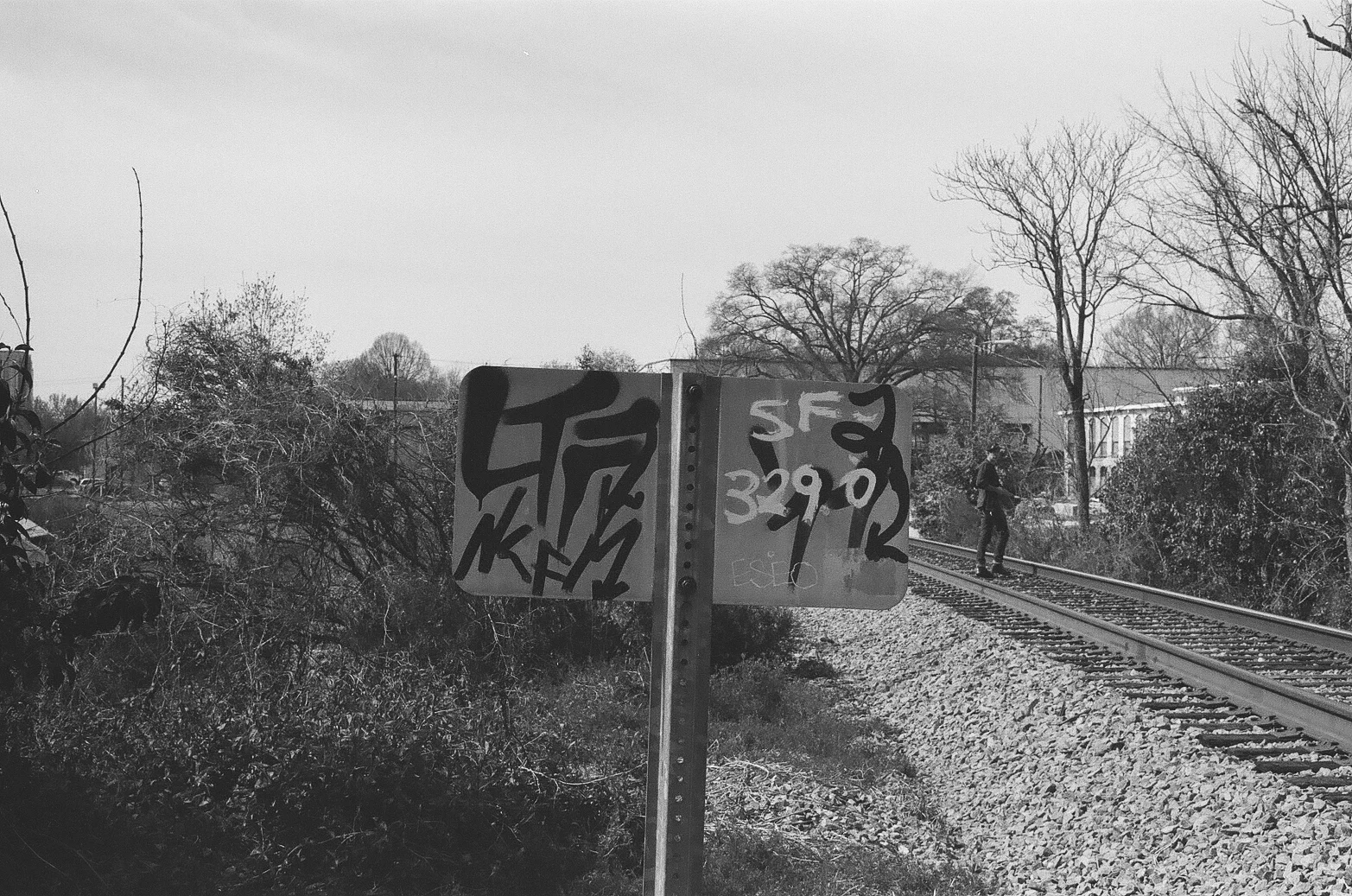 37220035.jpg