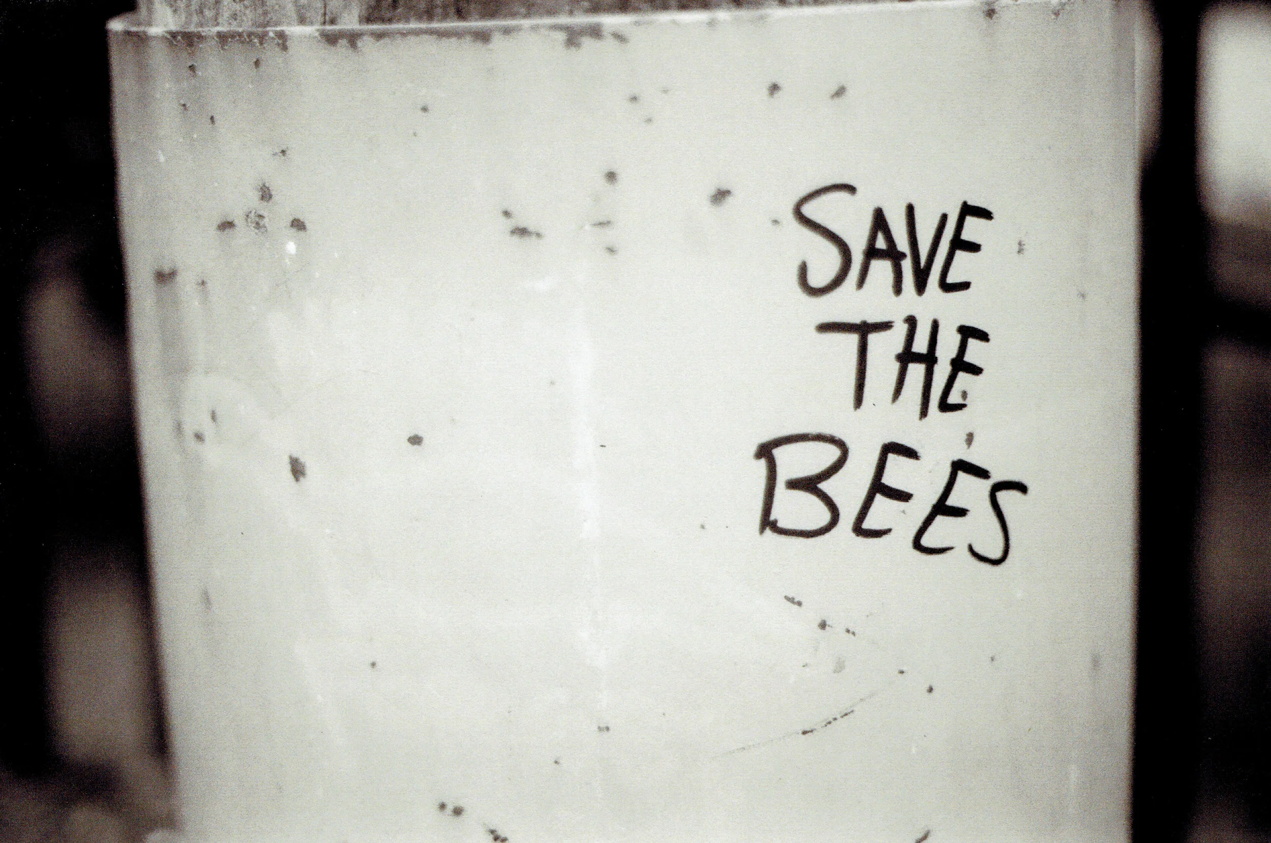 2011.jpg