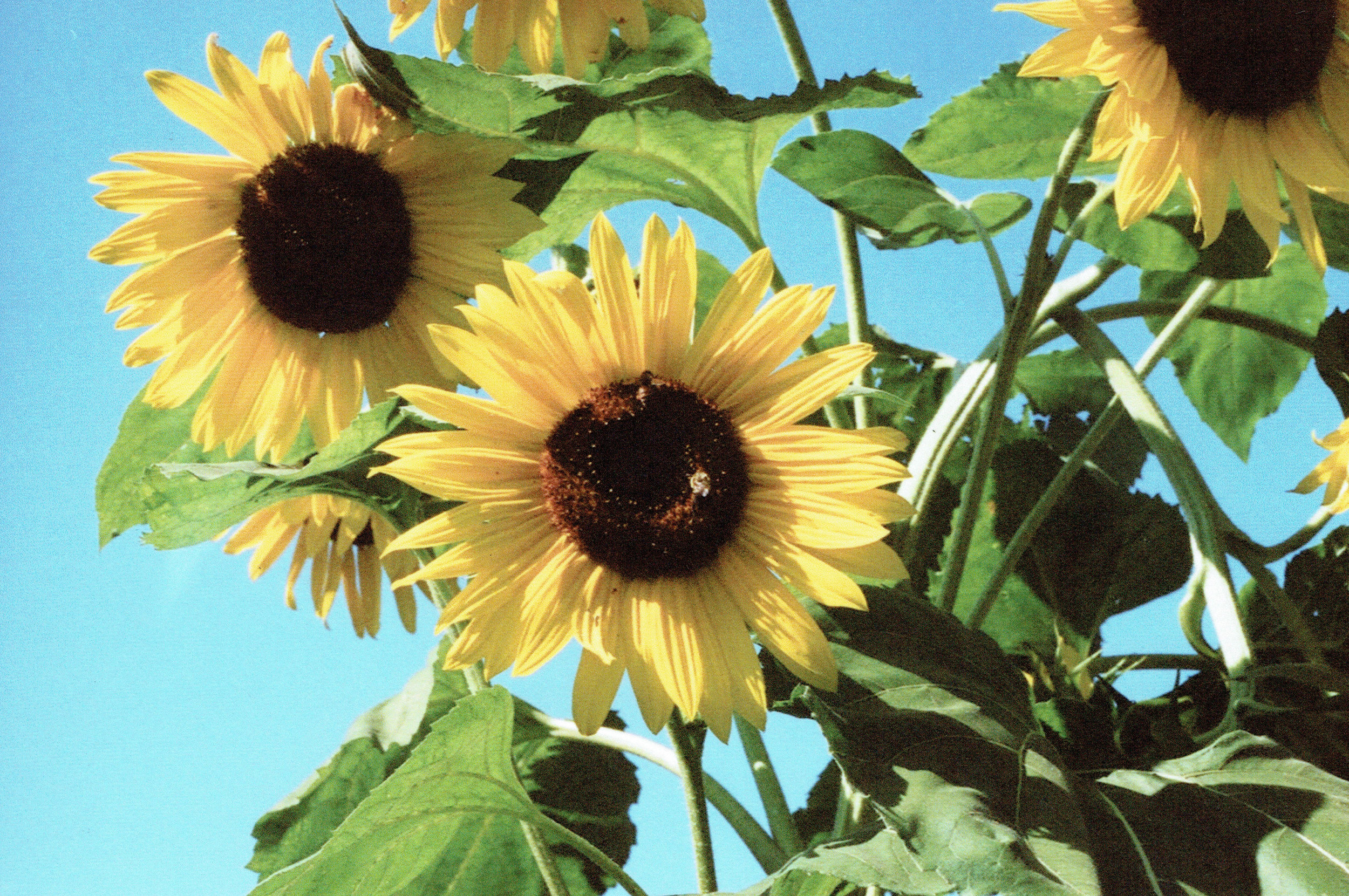 015.jpg