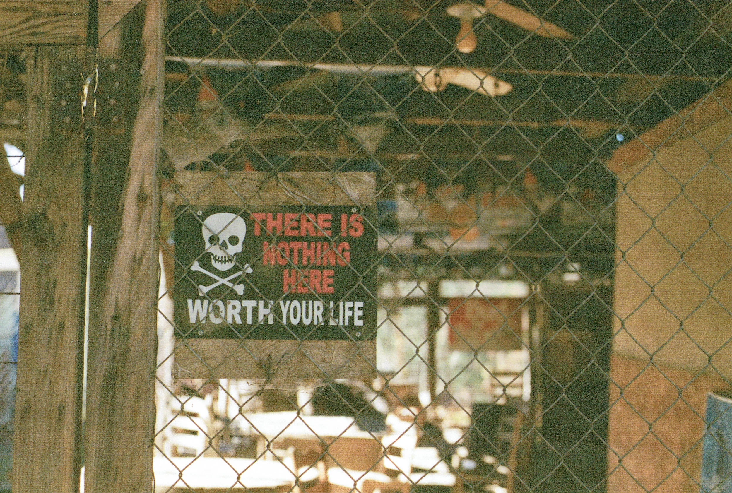 008.jpg