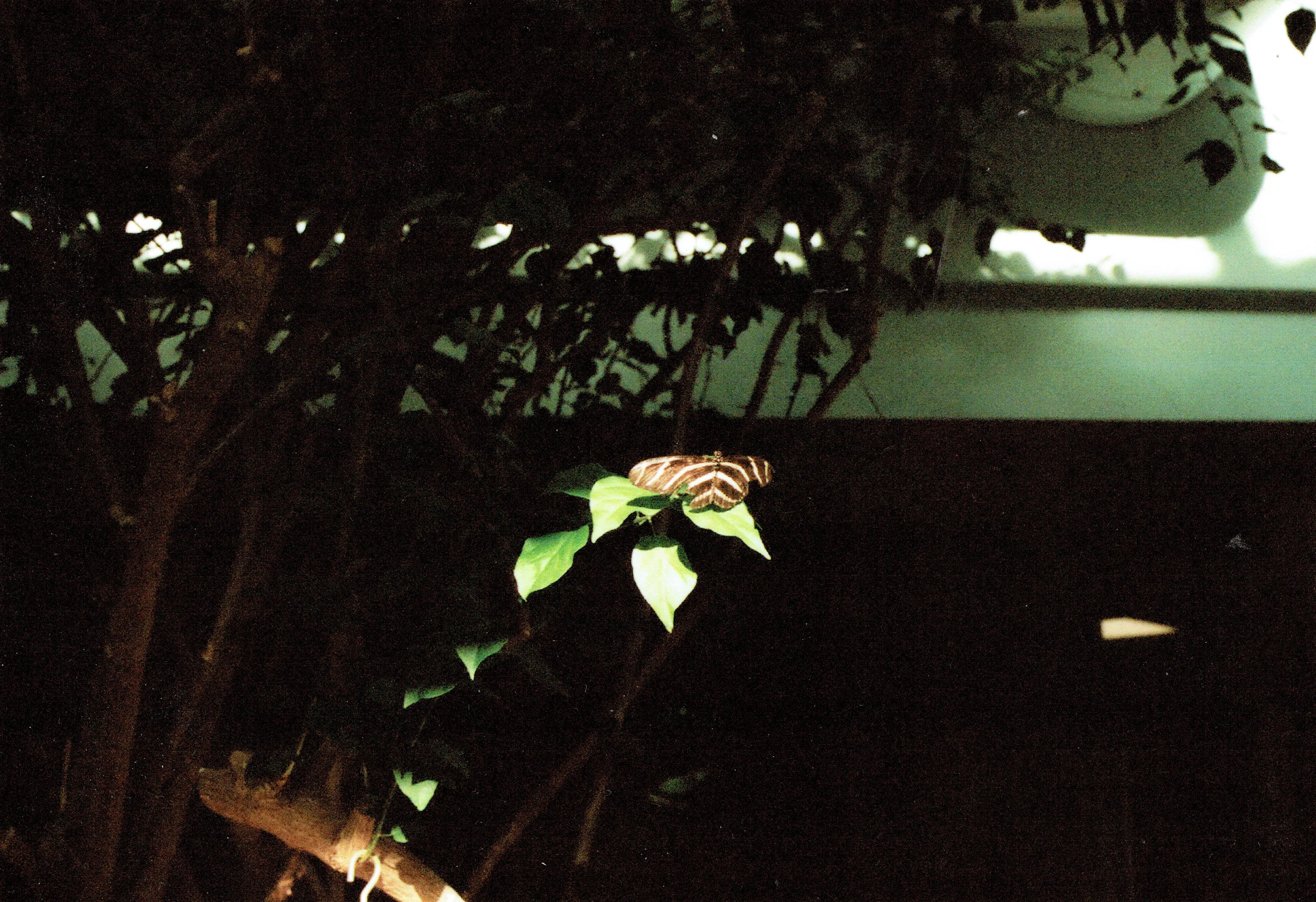 032.jpg