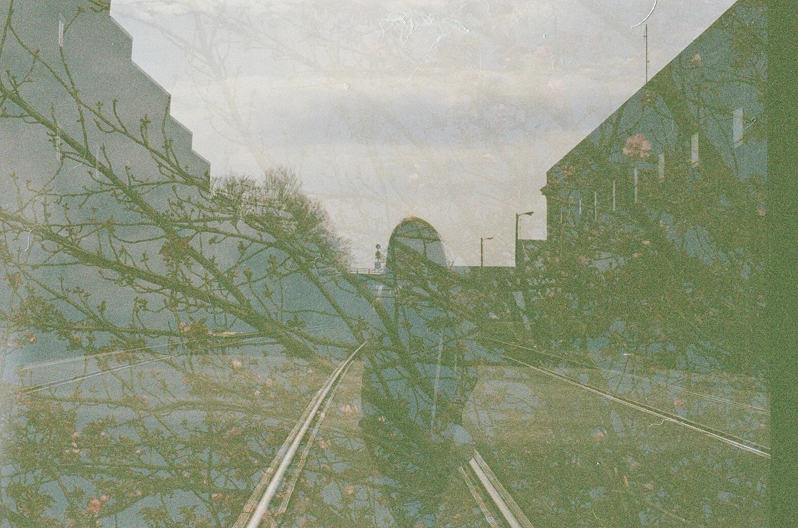 60030001.jpg