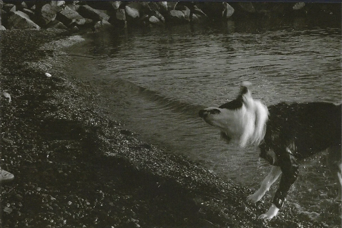 000 23.jpg