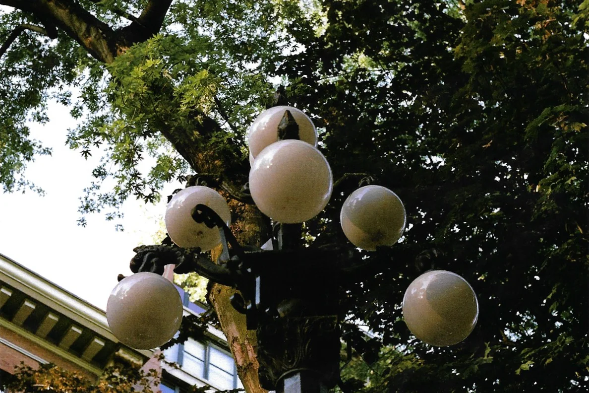 000 1.jpg