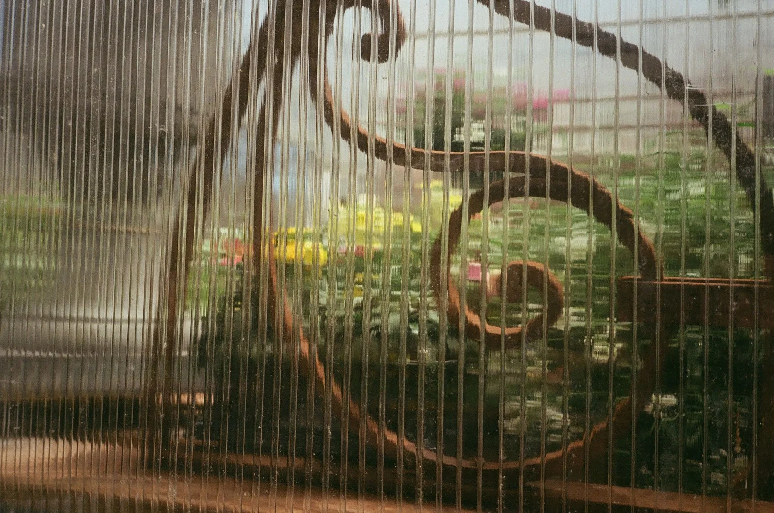 002153950003.jpg