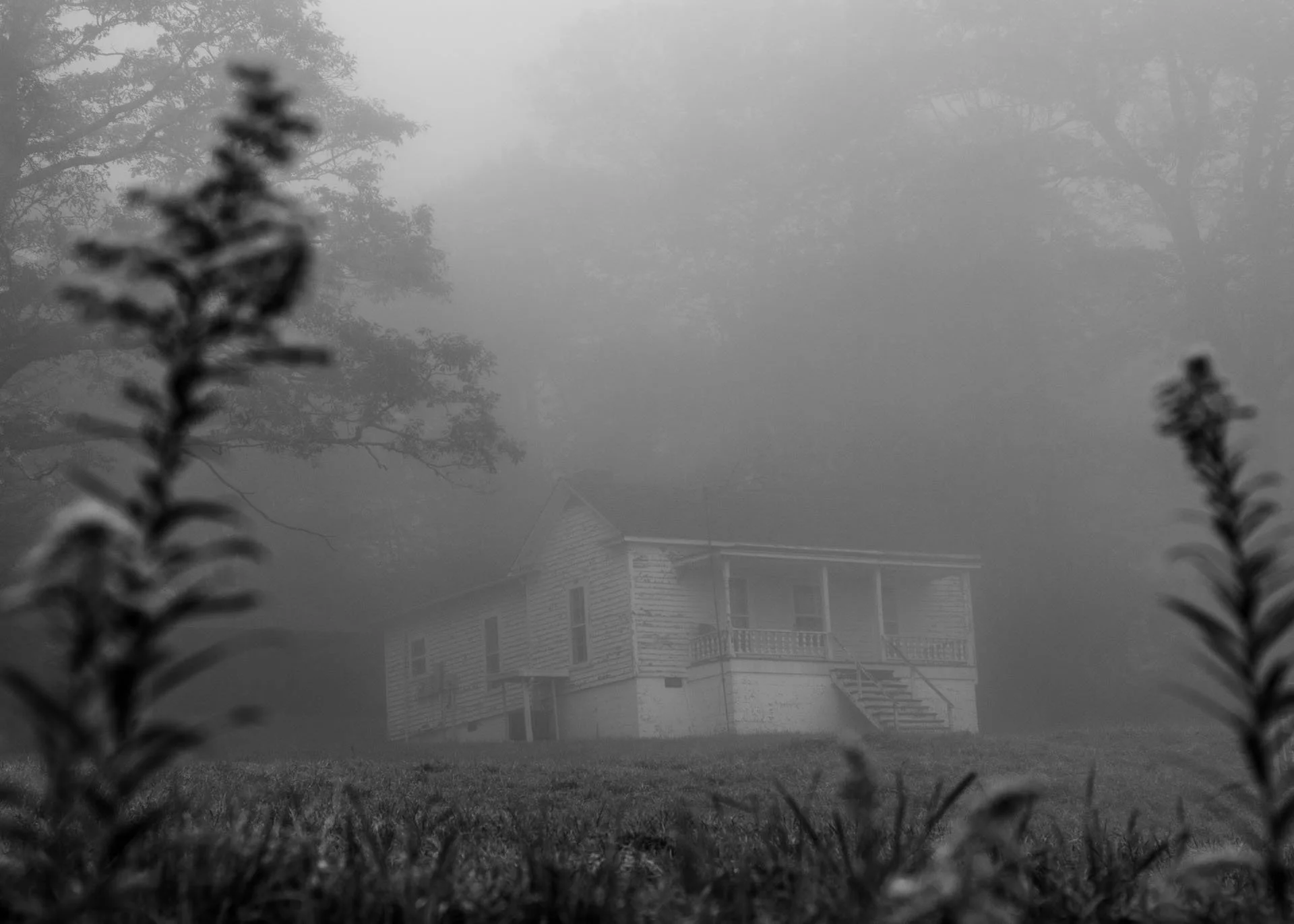 191008_JW_0029.jpg