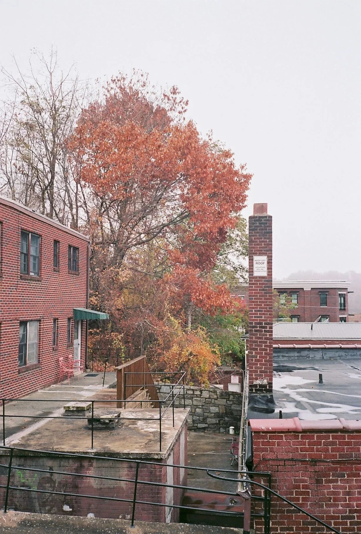 SP009289-23.jpg