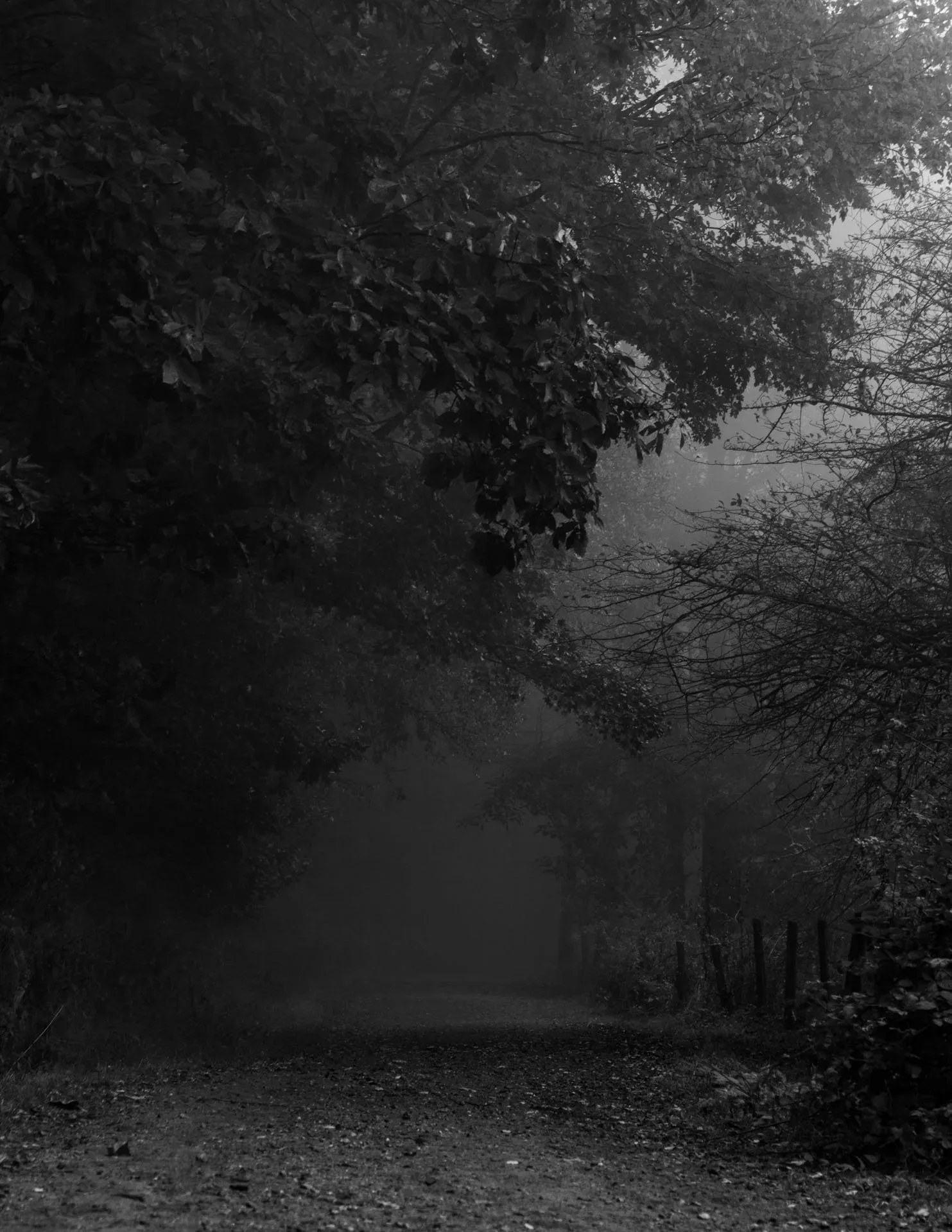 191008_JW_0033.jpg