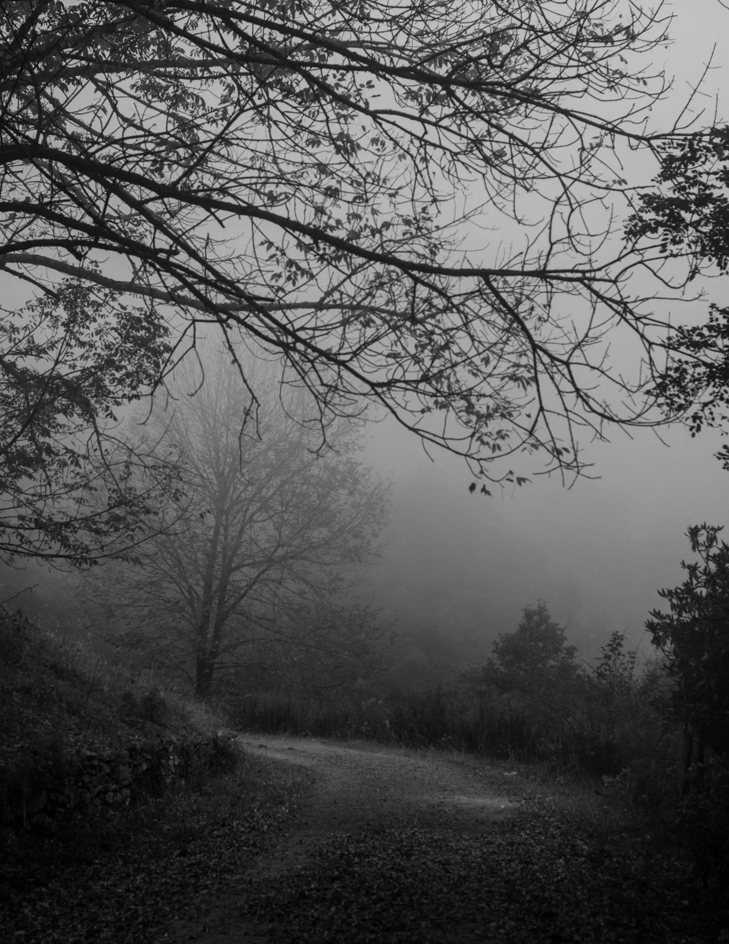 191008_JW_0023.jpg