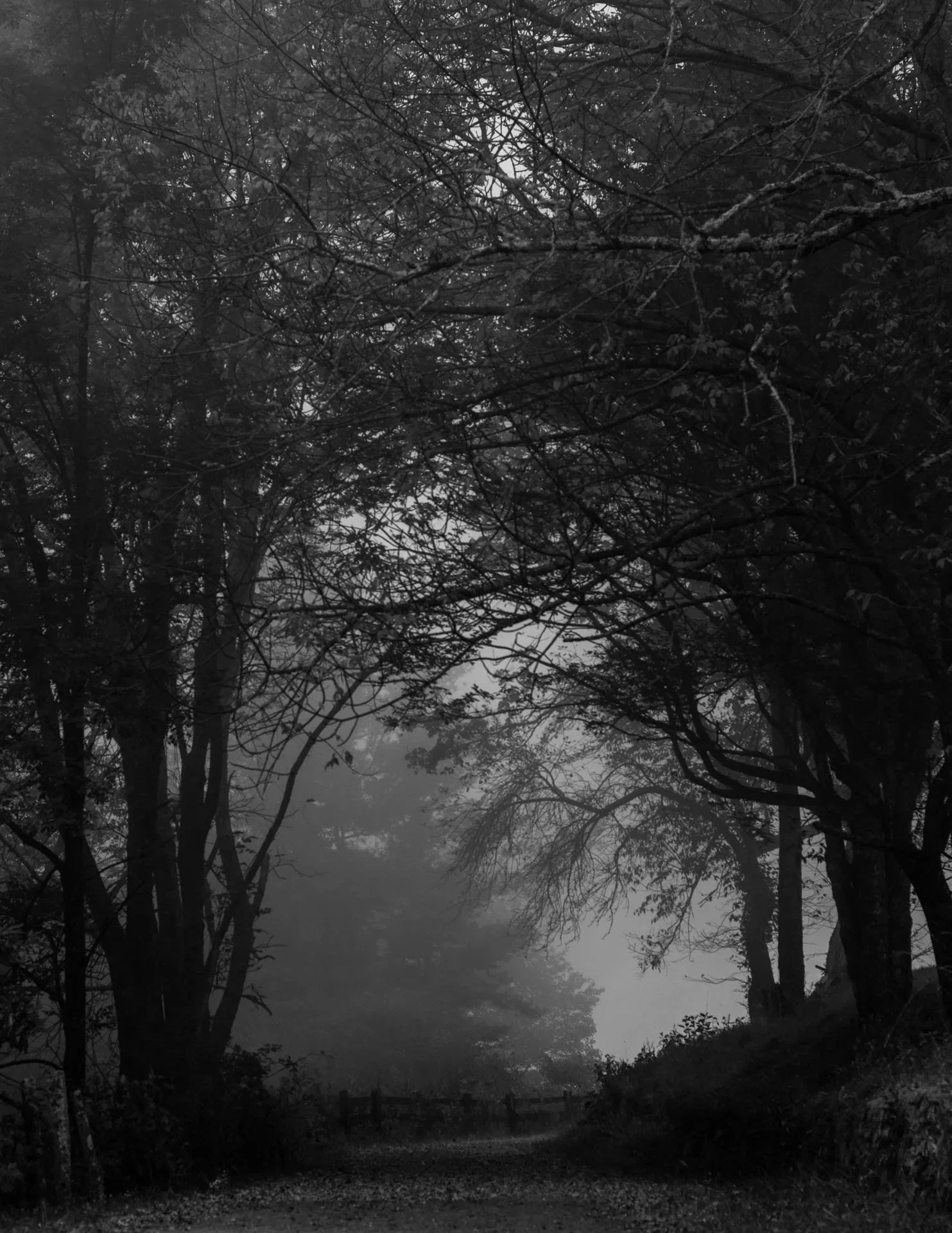 191008_JW_0026.jpg