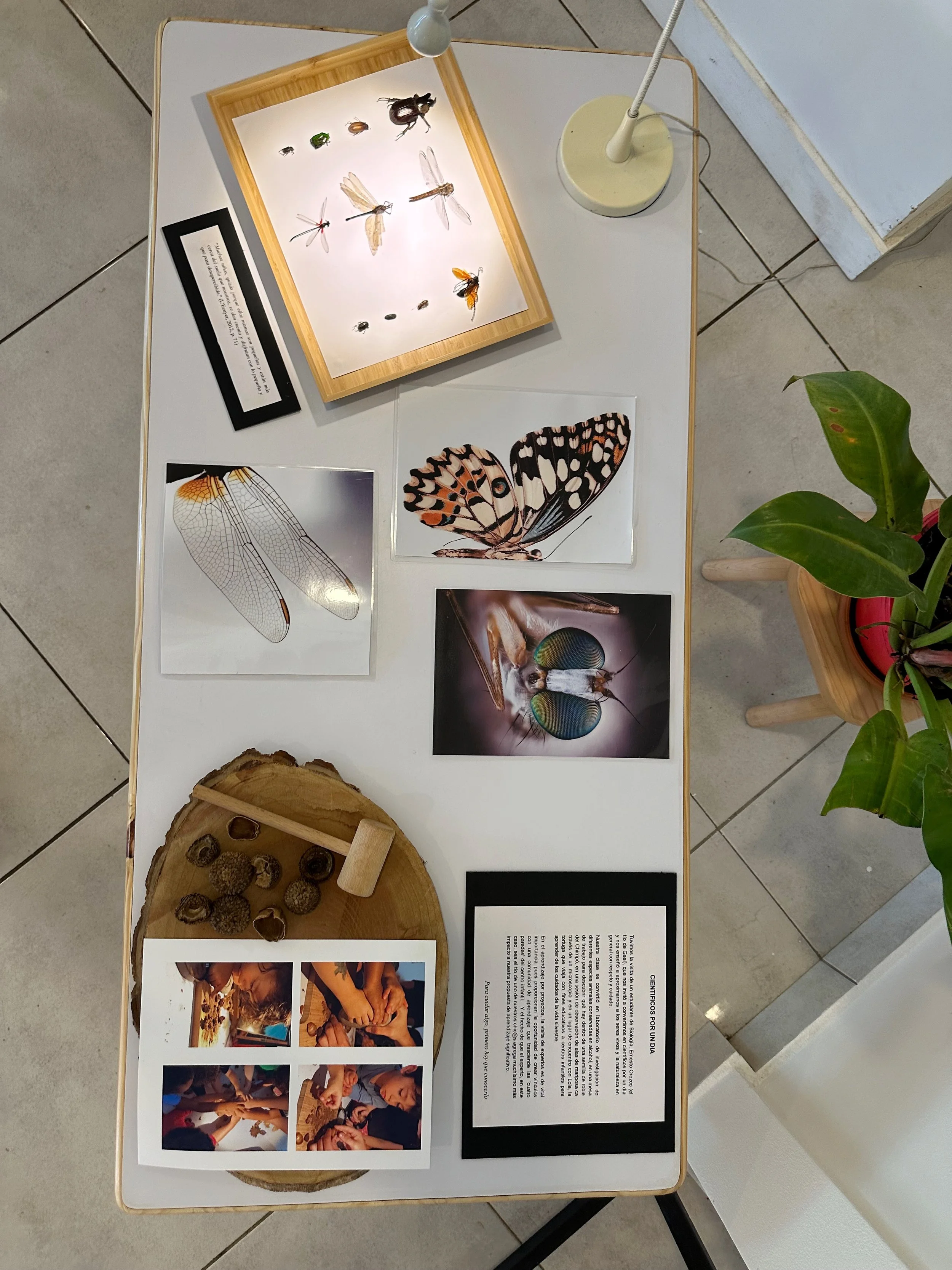 Imagen JPEG-4F47B23A87EE-1.jpeg