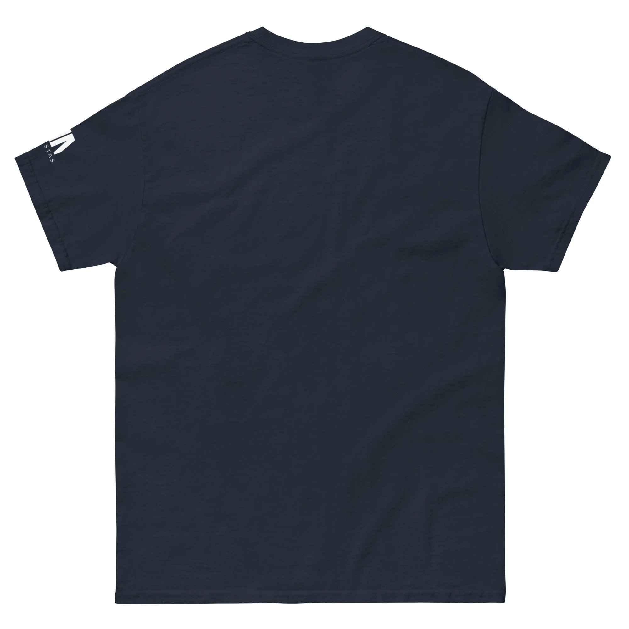 unisex-classic-tee-navy-back-6945c93c2bd09.jpg